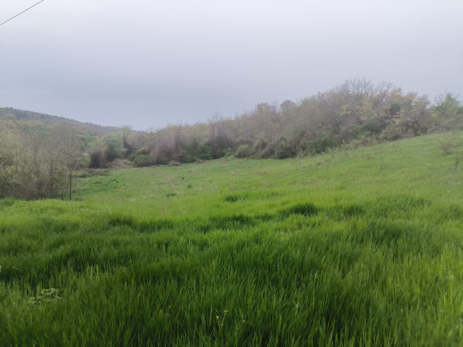 Građevinsko zemljište Sremski Karlovci – Sremski Karlovci | Linea Casa