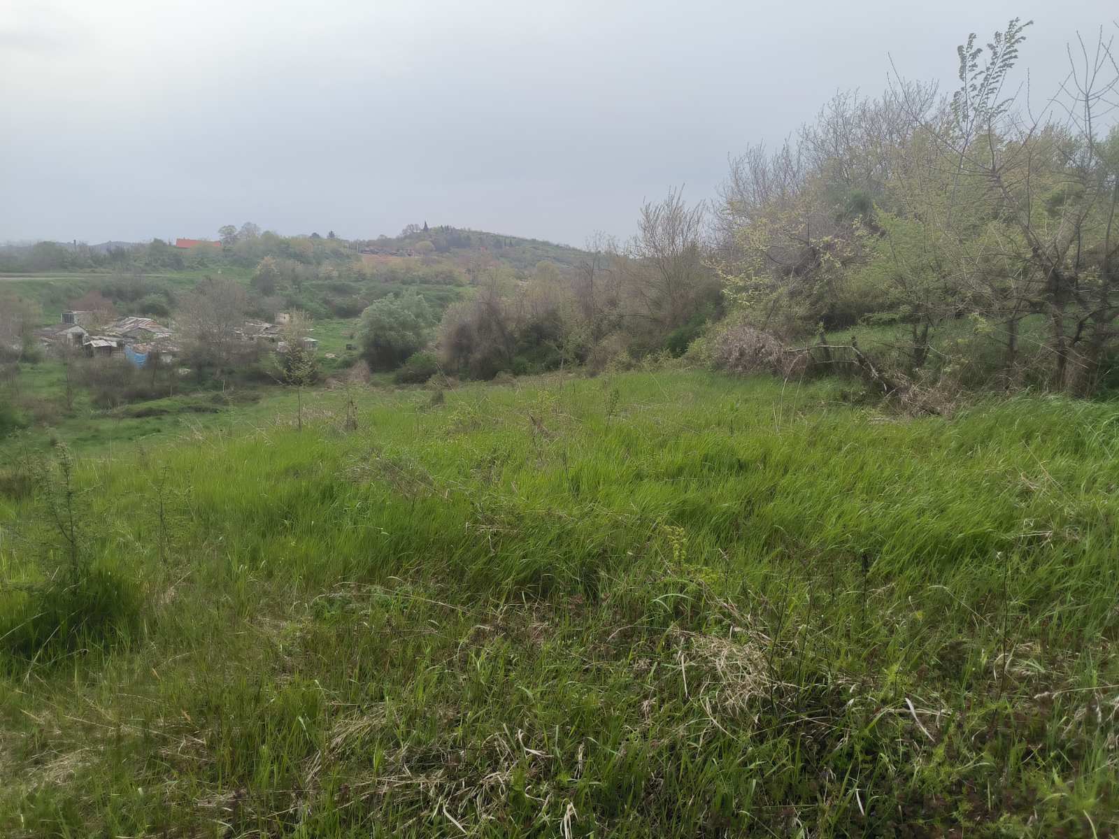 Građevinsko zemljište Sremski Karlovci – Sremski Karlovci, slika 3