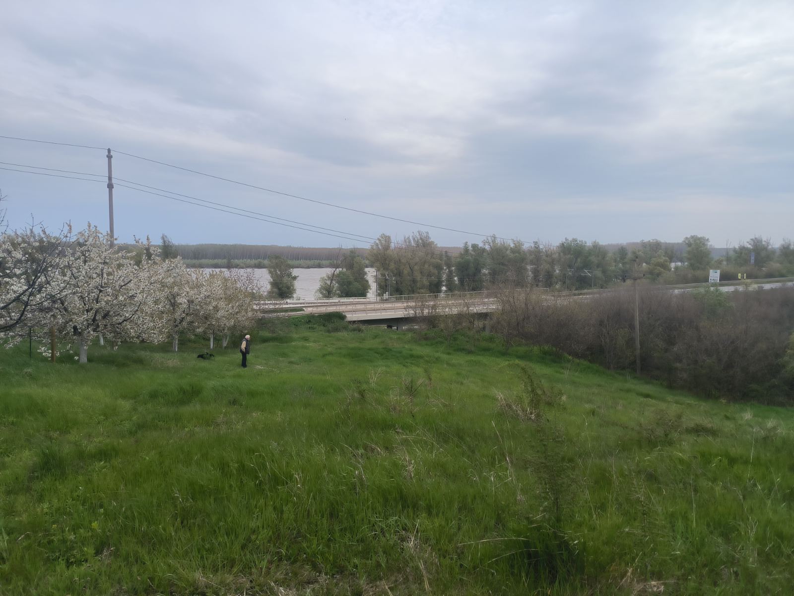Građevinsko zemljište Sremski Karlovci – Sremski Karlovci, slika 4