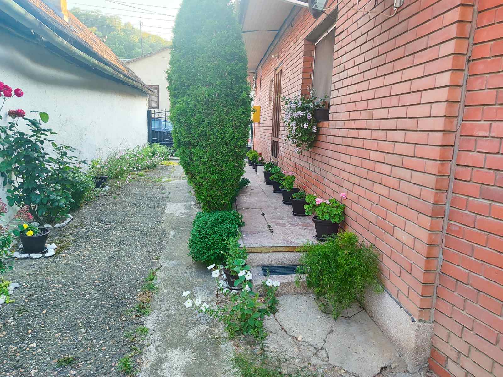 Prizemna trosobna kuća u centru Sremskih Karlovaca – Sremski Karlovci | Linea Casa