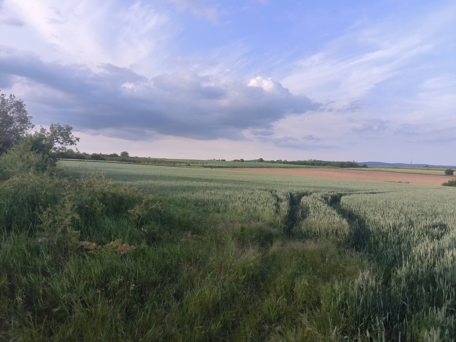 Građevinsko zemljište  – Irig, slika 5