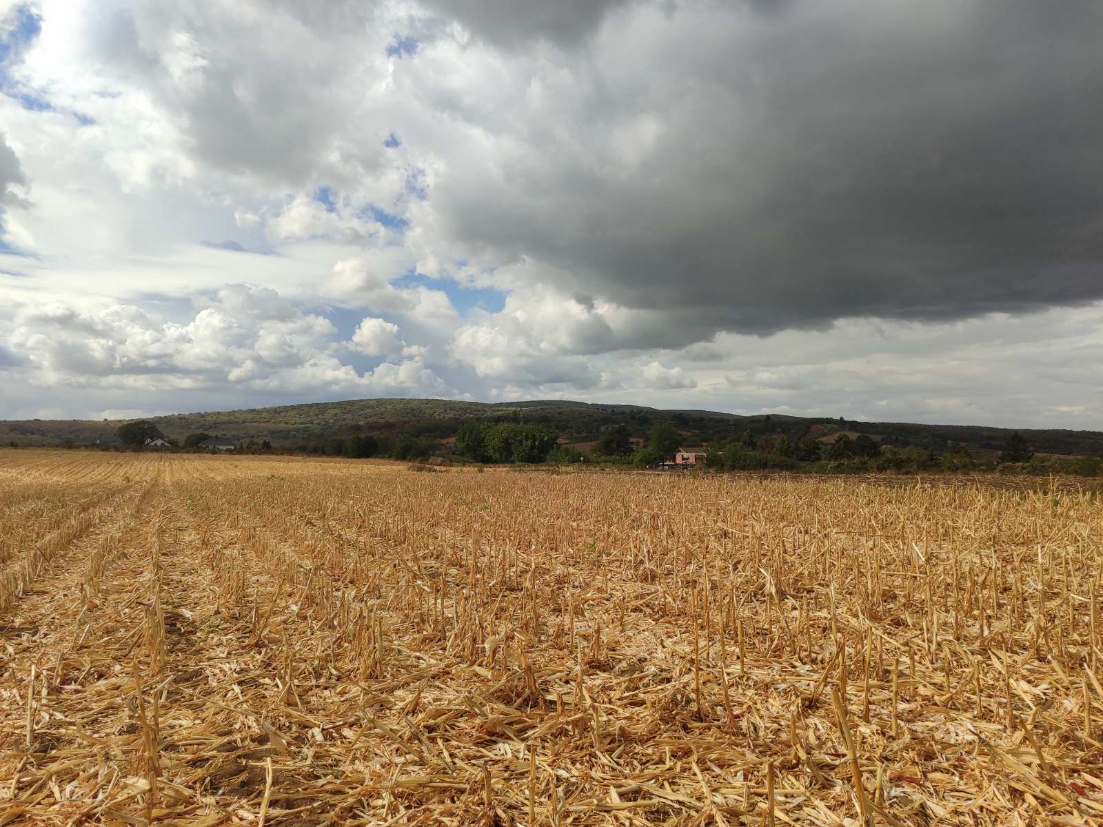 Plac na odličnoj lokaciji uz asfalt – Sremski Karlovci, slika 3