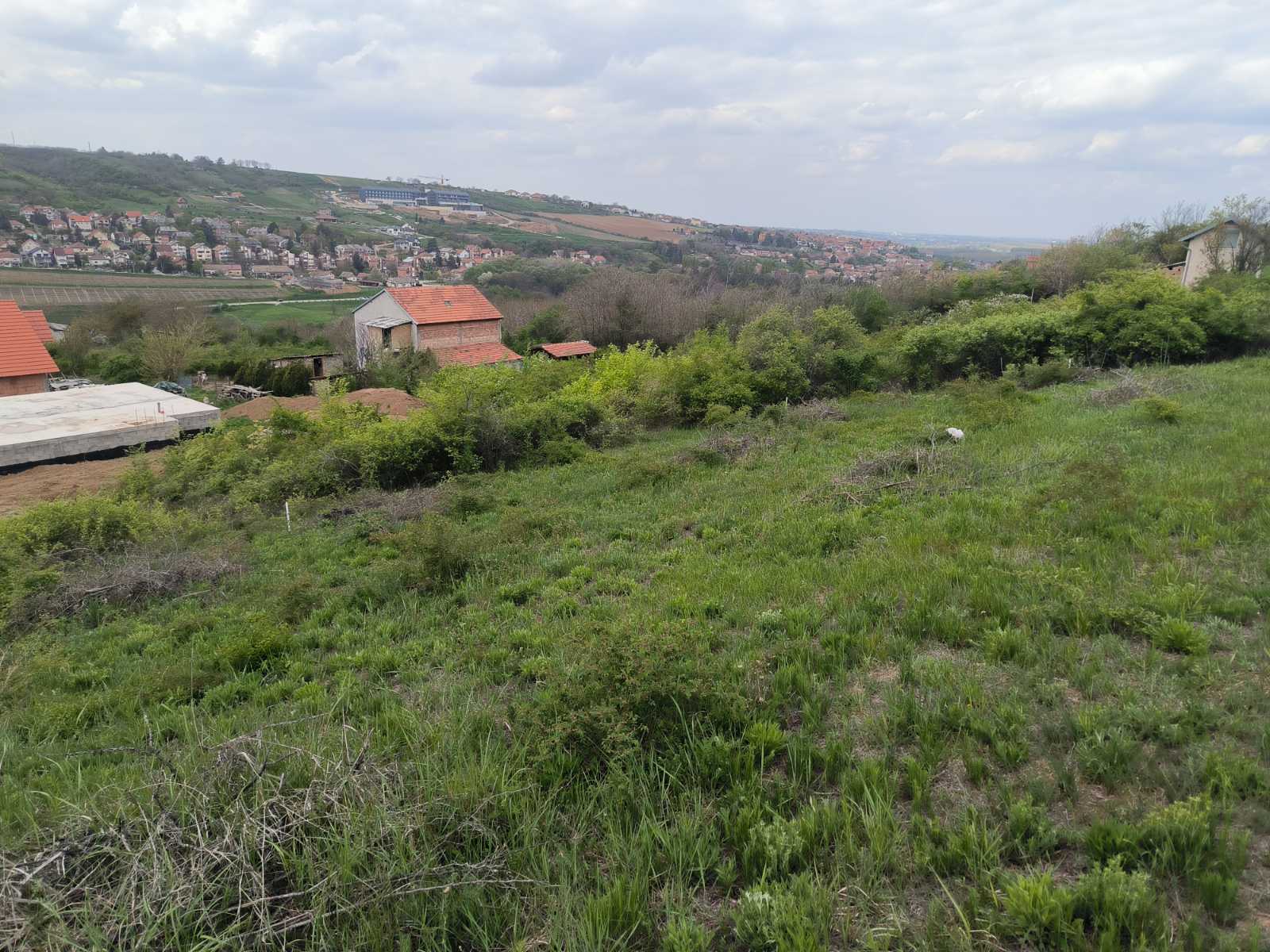 Plac sa pogledom – Sremski Karlovci, slika 5
