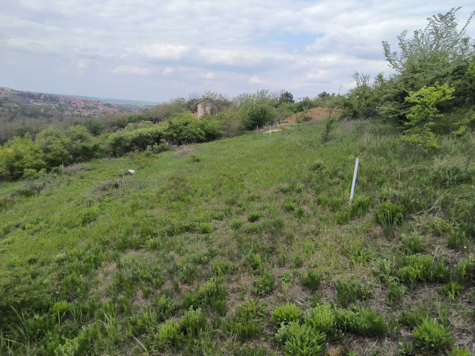 Plac sa pogledom – Sremski Karlovci, slika 6