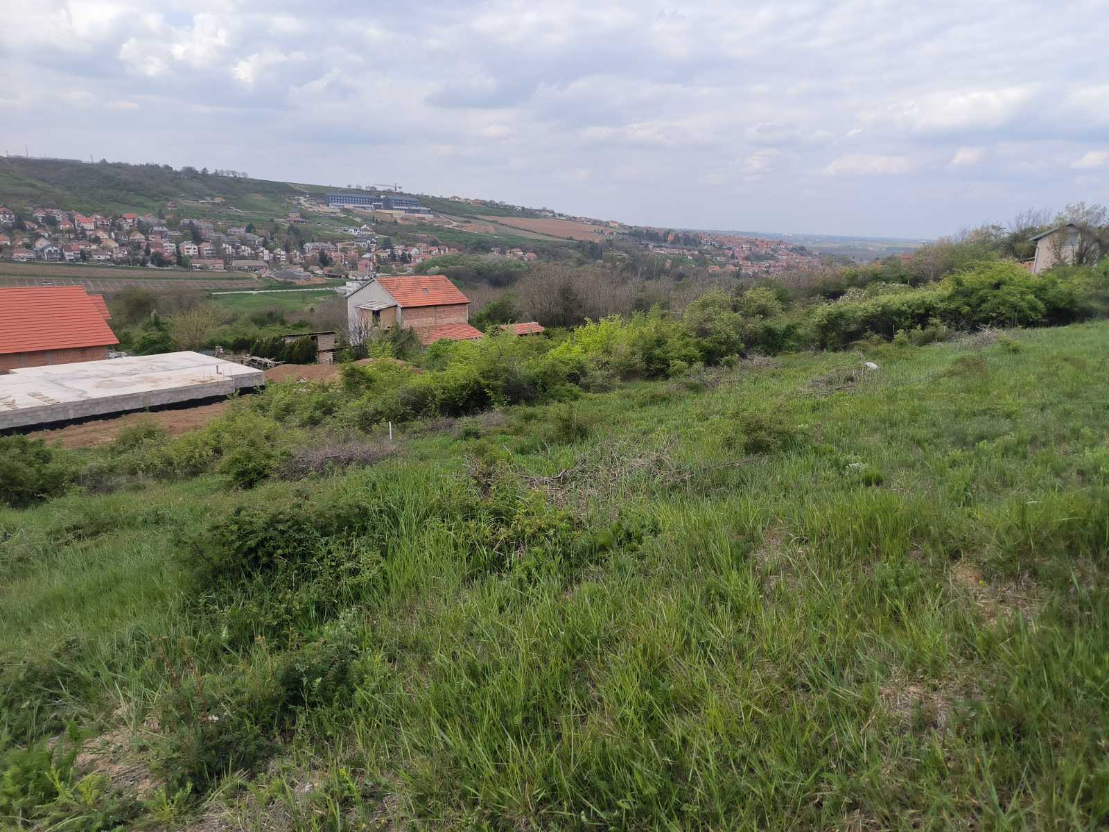 Plac sa pogledom – Sremski Karlovci, slika 10