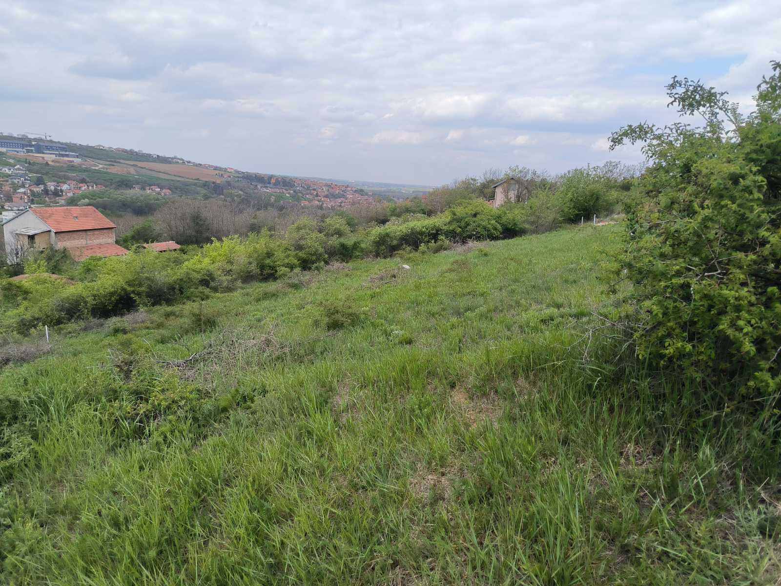 Plac sa pogledom – Sremski Karlovci, slika 11