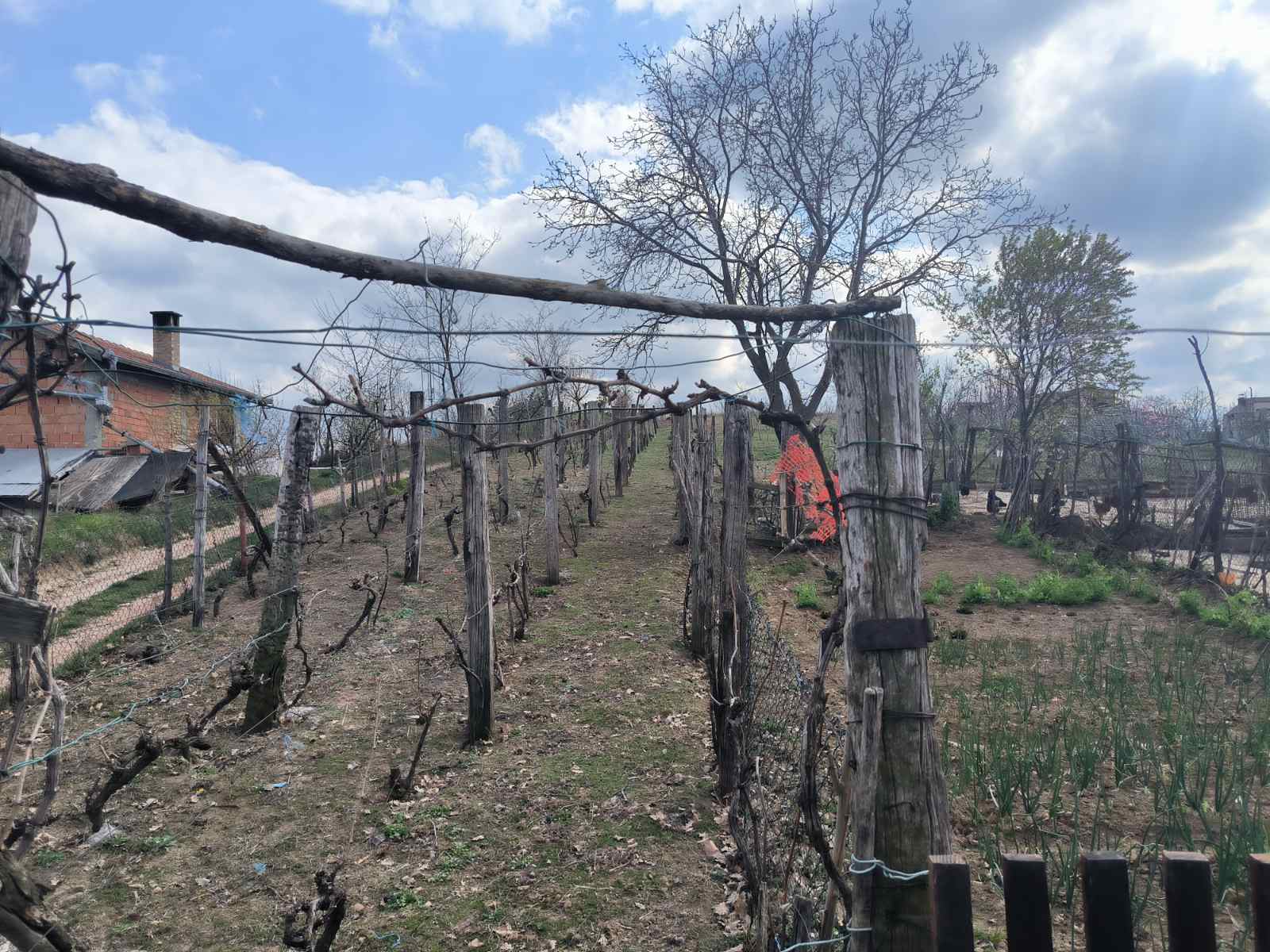 Kuća - Vikendica - Sremski Karlovci - Pogled – Sremski Karlovci, slika 13