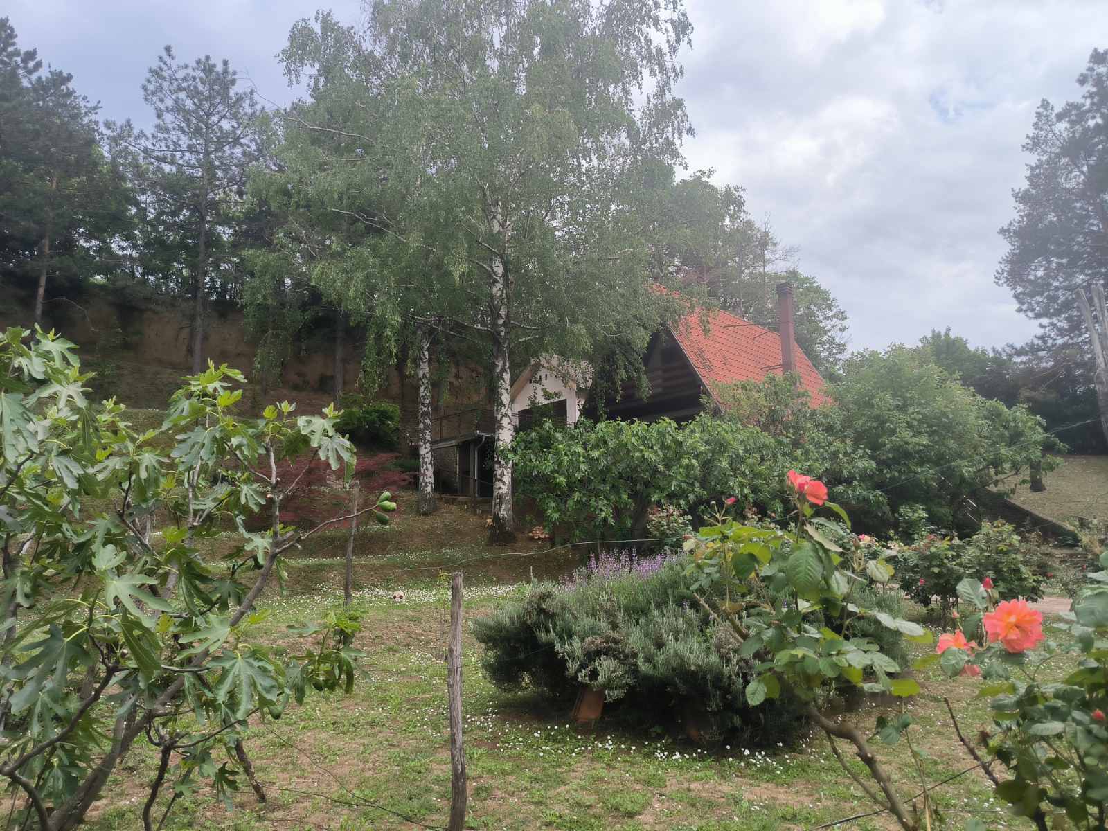 Vikendica u blizini Sremskih Karlovaca sa pogledom – Sremski Karlovci | Linea Casa