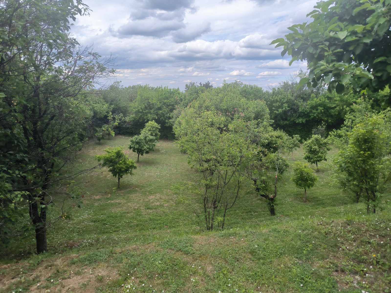 Vikendica u blizini Sremskih Karlovaca sa pogledom – Sremski Karlovci, slika 2