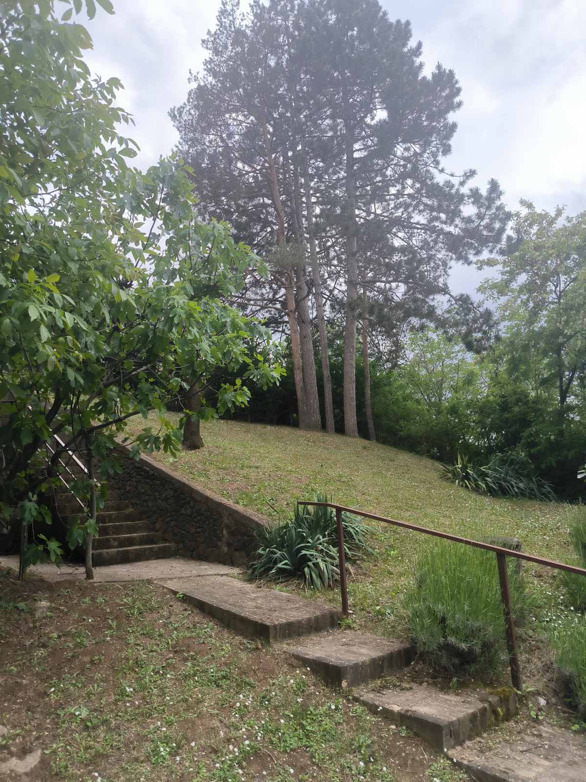Vikendica u blizini Sremskih Karlovaca sa pogledom – Sremski Karlovci, slika 5