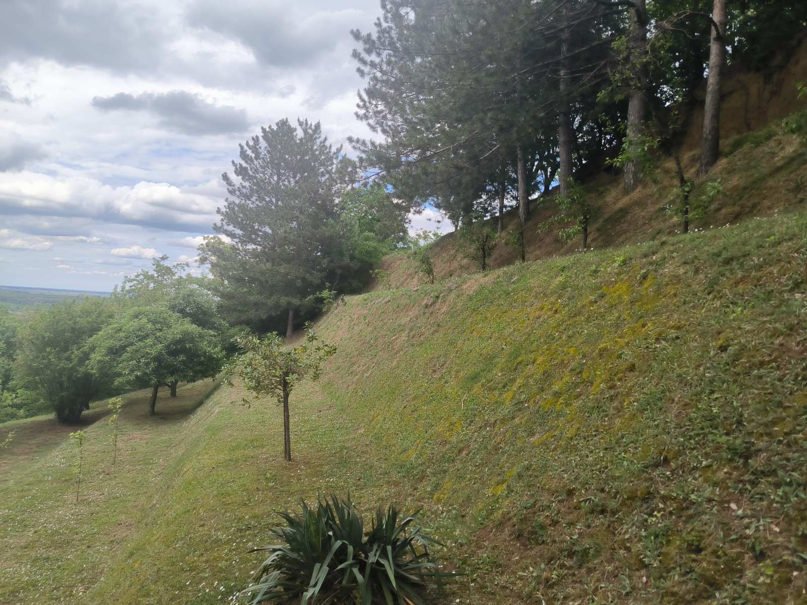 Vikendica u blizini Sremskih Karlovaca sa pogledom – Sremski Karlovci, slika 10