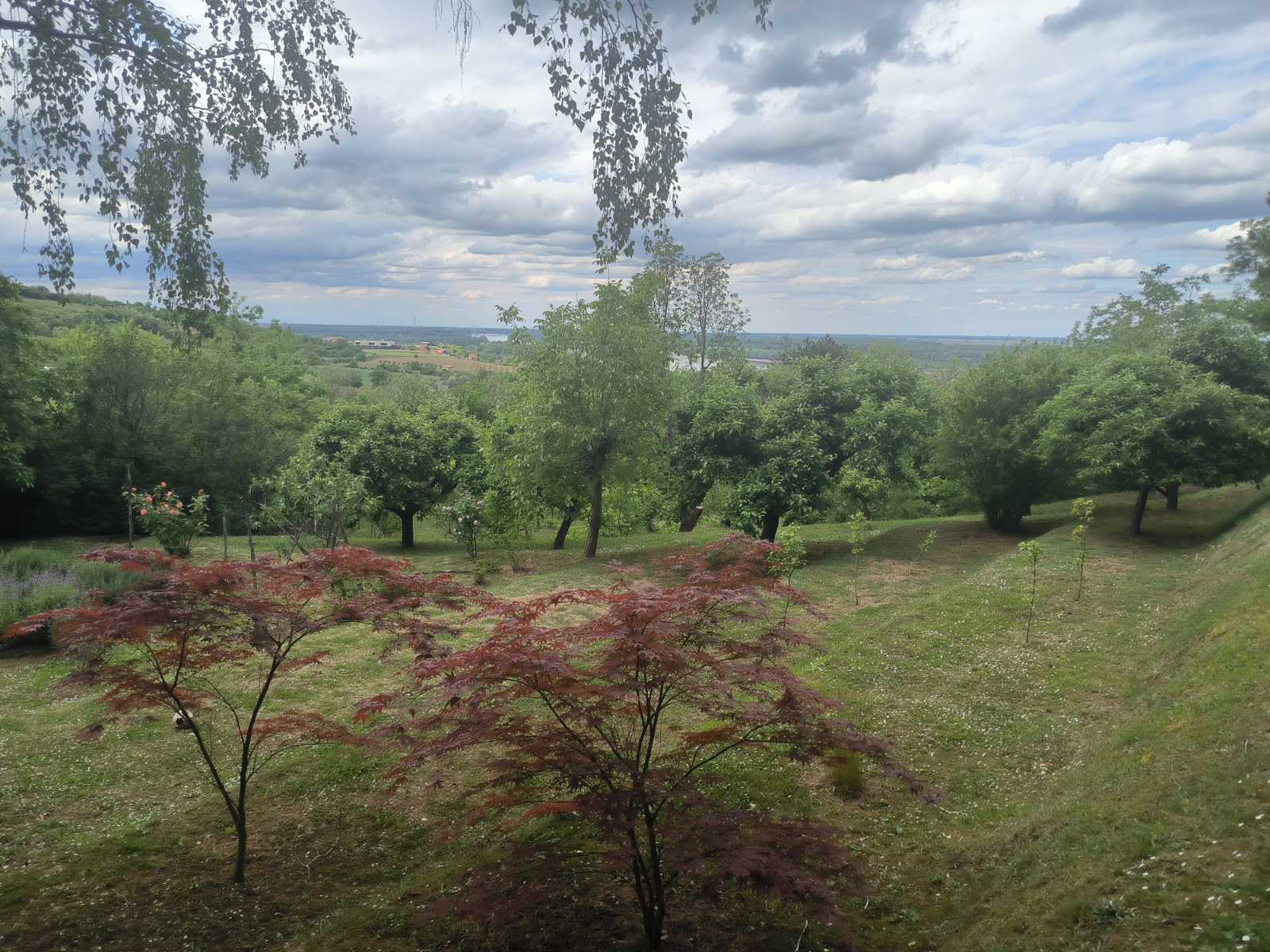Vikendica u blizini Sremskih Karlovaca sa pogledom – Sremski Karlovci, slika 11