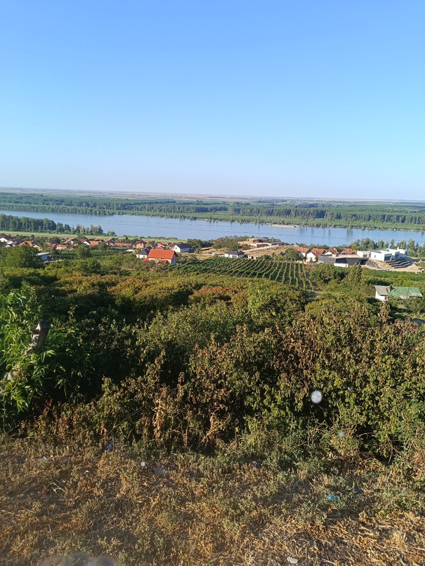 Gradjevinski plac sa otvorenim pogledom na Dunav – Sremski Karlovci, slika 6