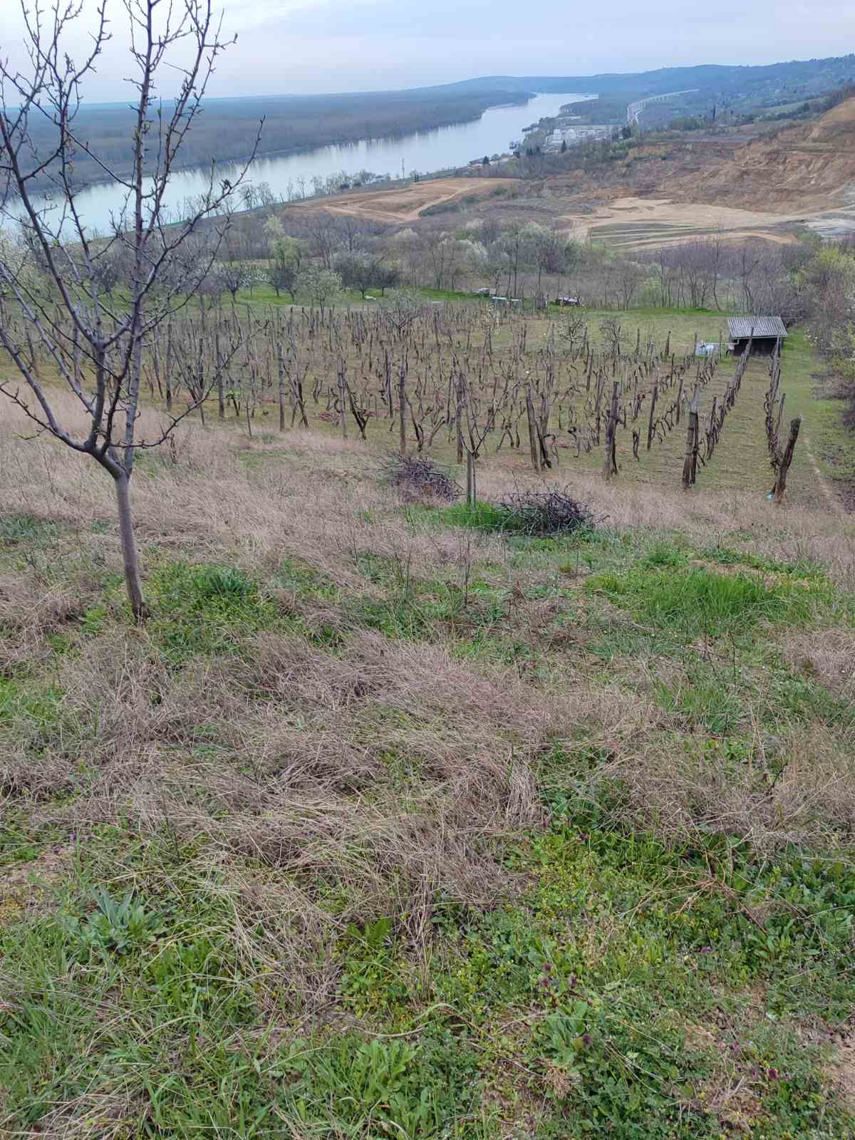 Vinograd sa pogledom – Sremski Karlovci | Linea Casa