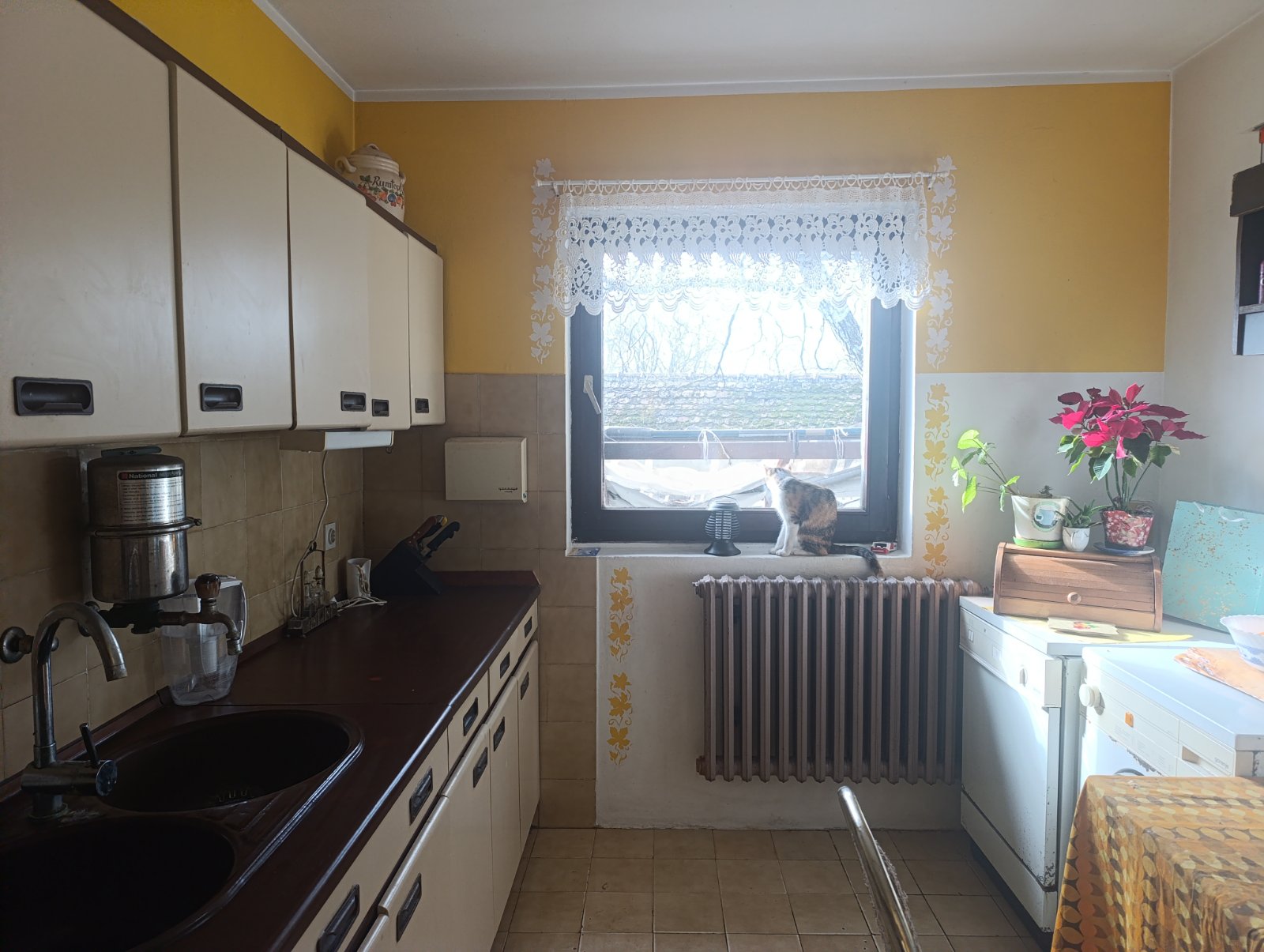 Na prodaju je kuća u Jazak selo veoma lepa – Irig, slika 2