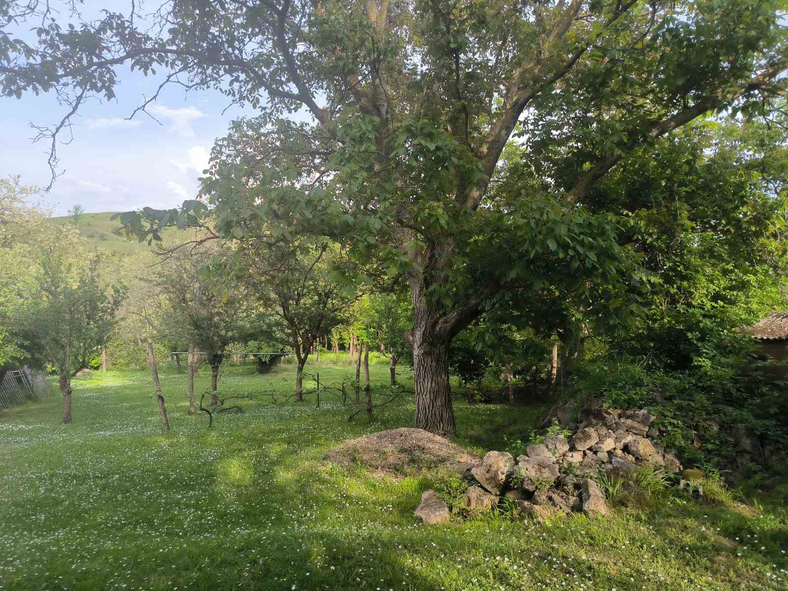 Na prodaju je kuća u Jazak selo veoma lepa – Irig, slika 7