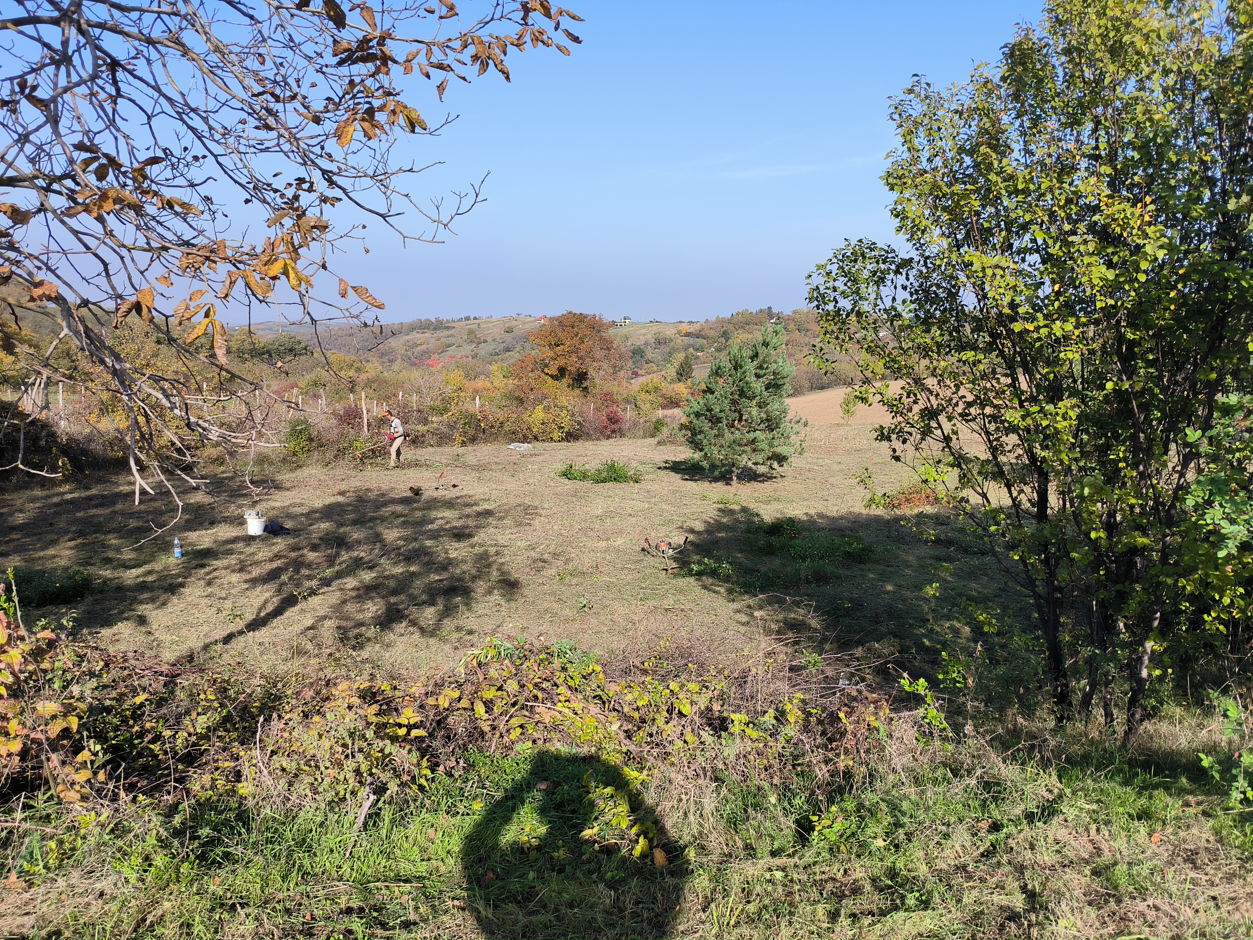 Odličan građevinski plac Banstol – Sremski Karlovci, slika 10