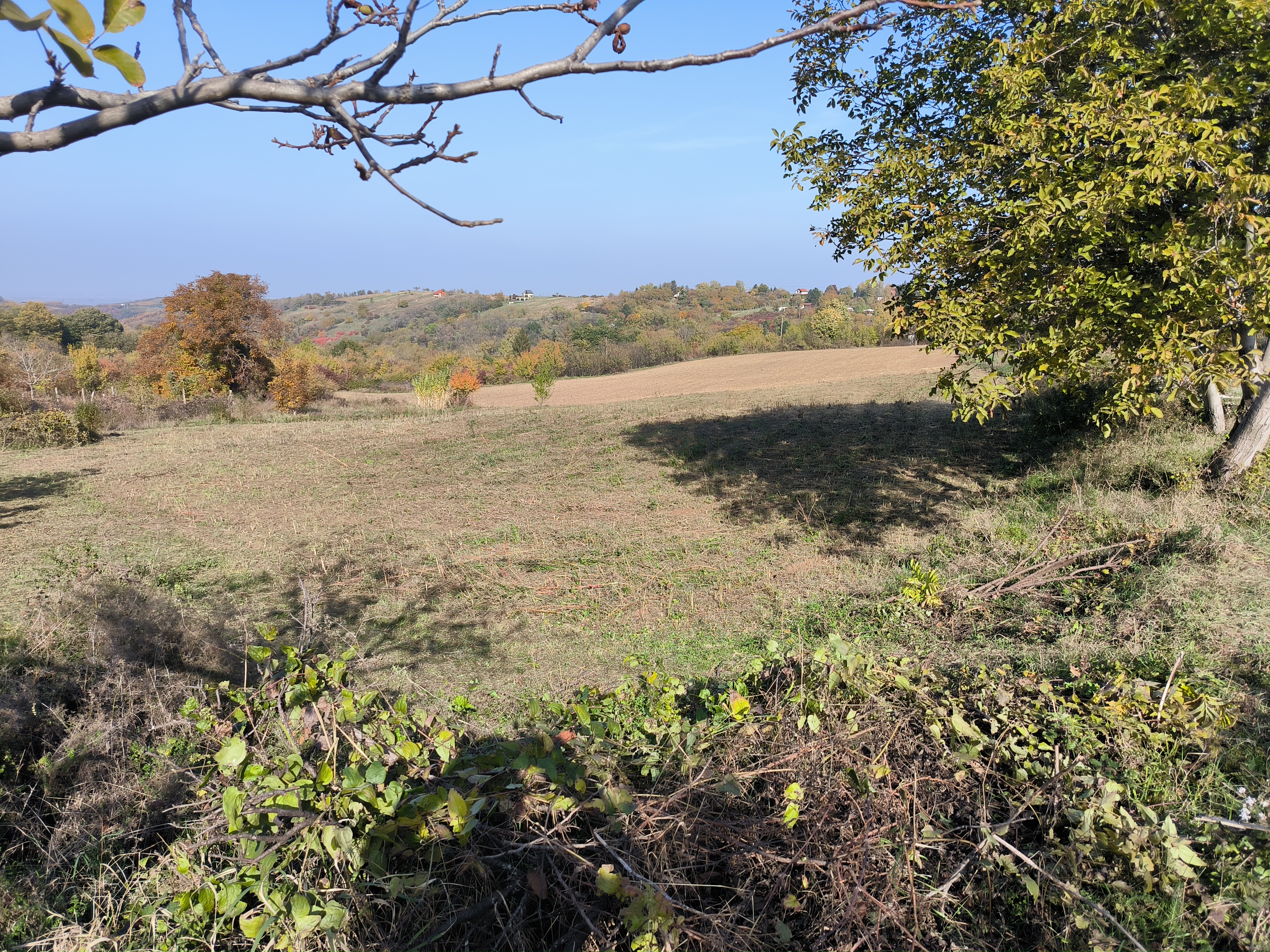 Odličan građevinski plac Banstol – Sremski Karlovci, slika 12