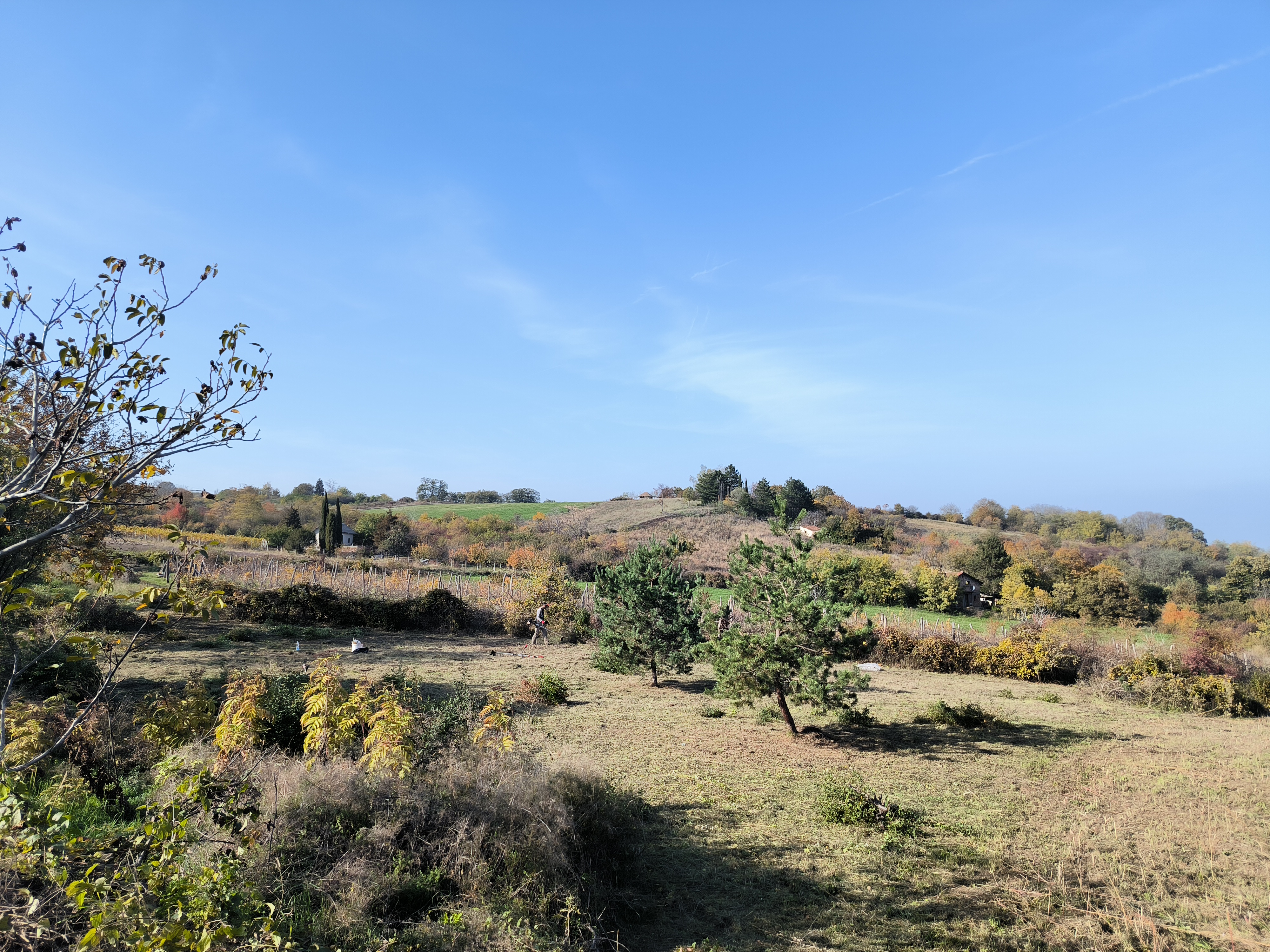 Odličan građevinski plac Banstol – Sremski Karlovci, slika 13