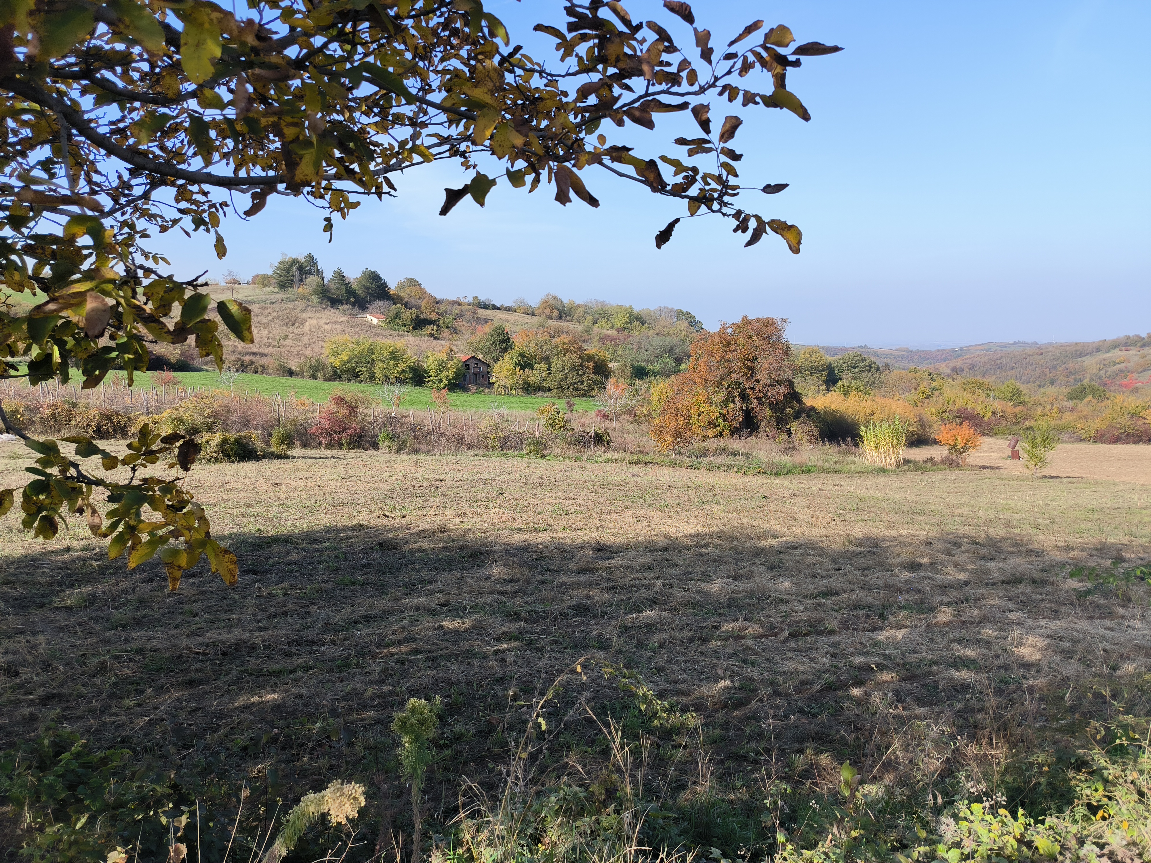 Odličan građevinski plac Banstol – Sremski Karlovci, slika 1
