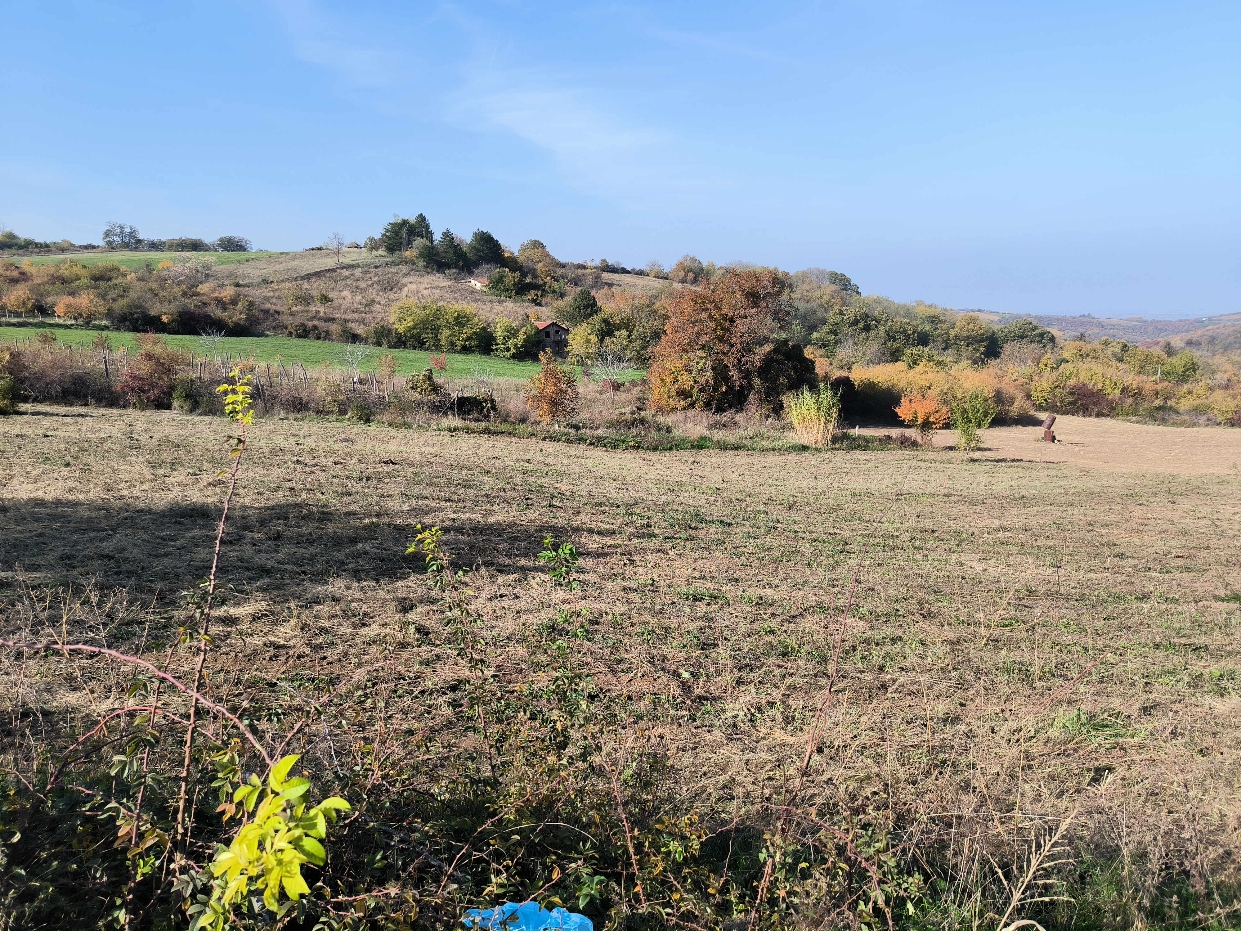 Odličan građevinski plac Banstol – Sremski Karlovci, slika 2