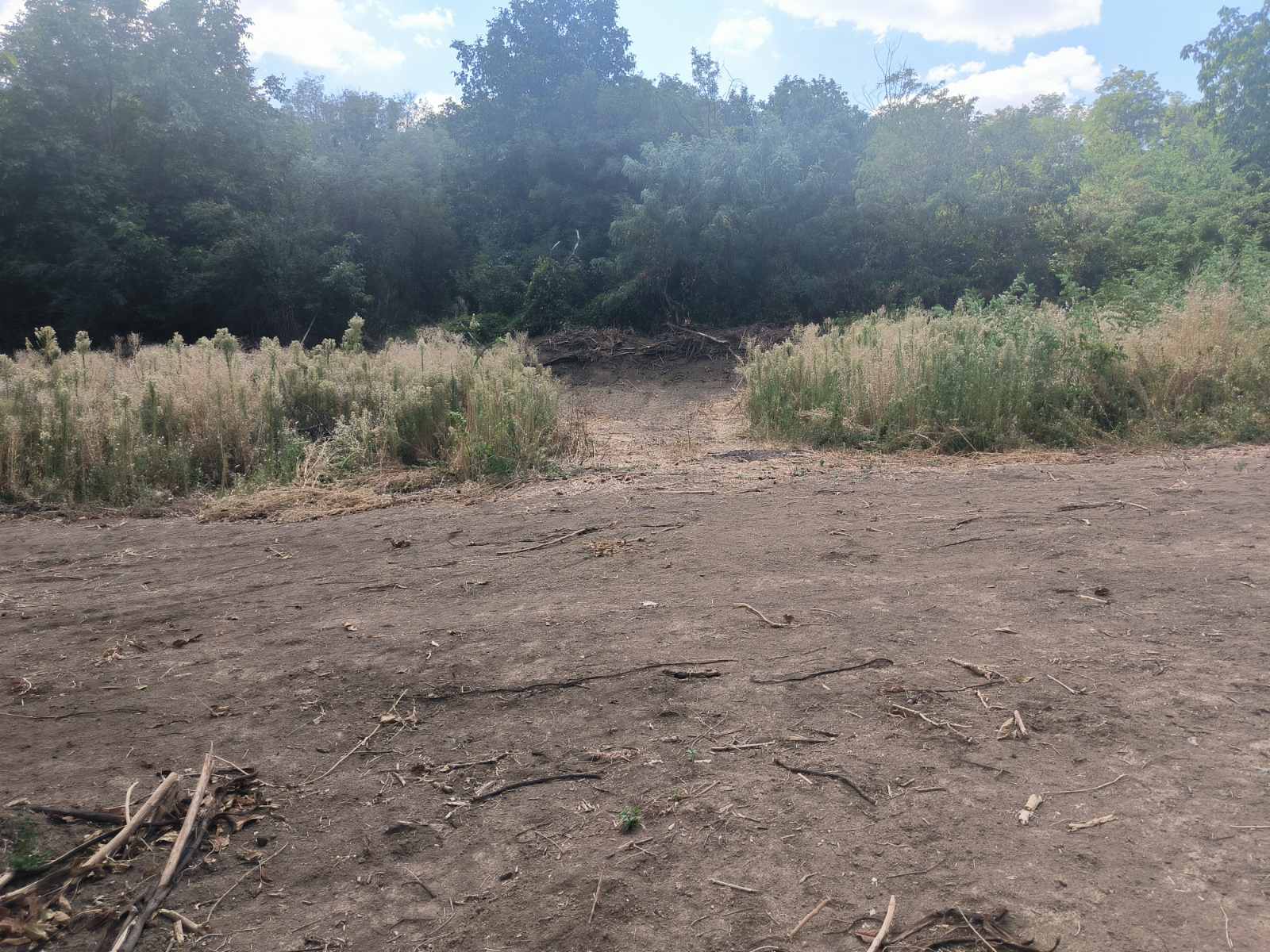 Plac na Banstolu! – Sremski Karlovci, slika 2