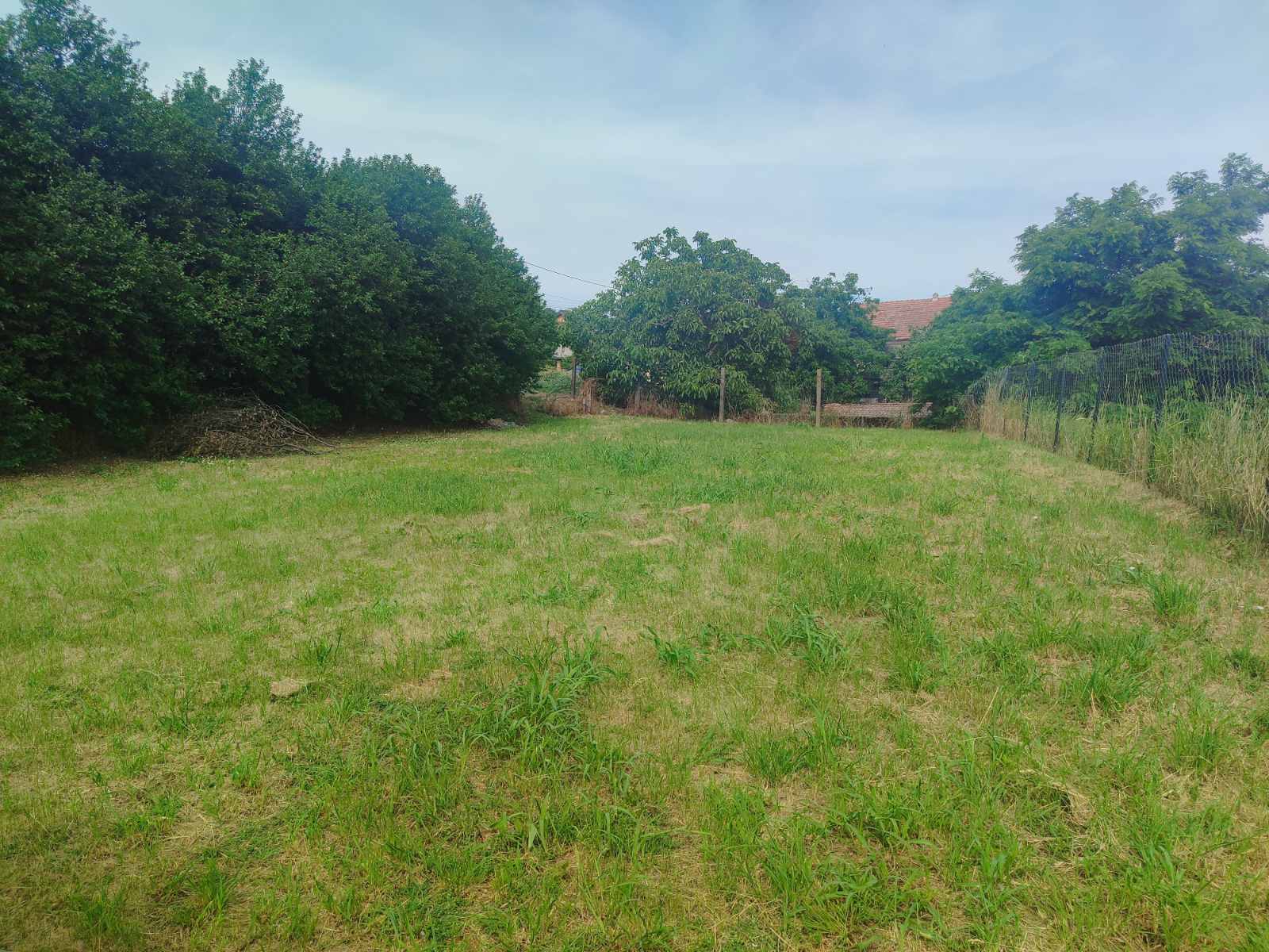 Gradjevinski plac u Sremskim Karlovcima – Sremski Karlovci, slika 3