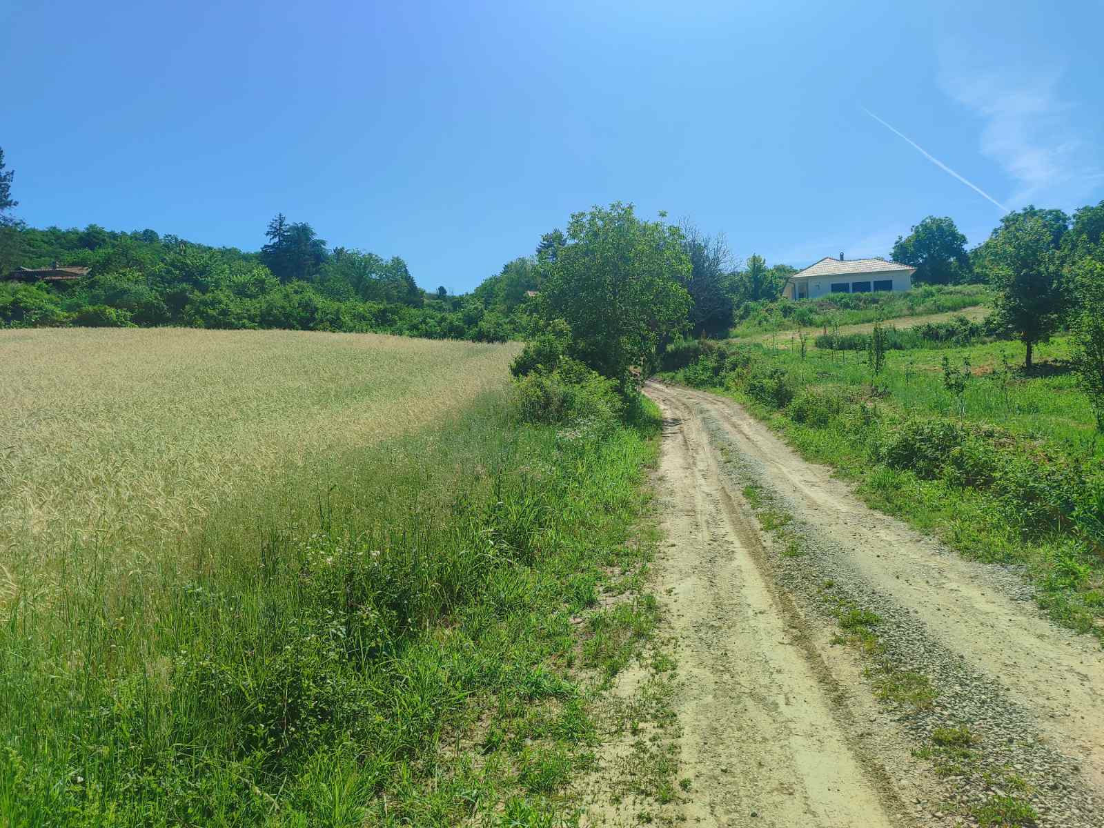 Poljoprivredno zemljište na granici sa gradjevinskim! – Sremski Karlovci, slika 2