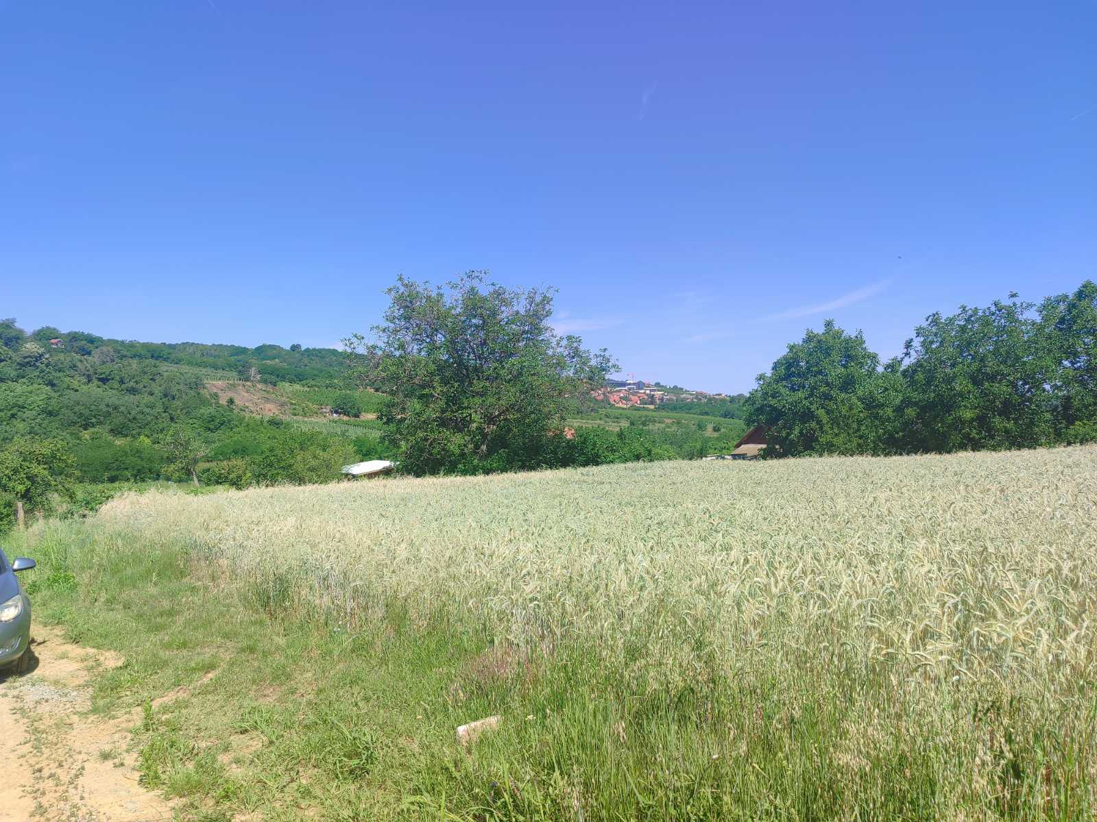 Poljoprivredno zemljište na granici sa gradjevinskim! – Sremski Karlovci, slika 3