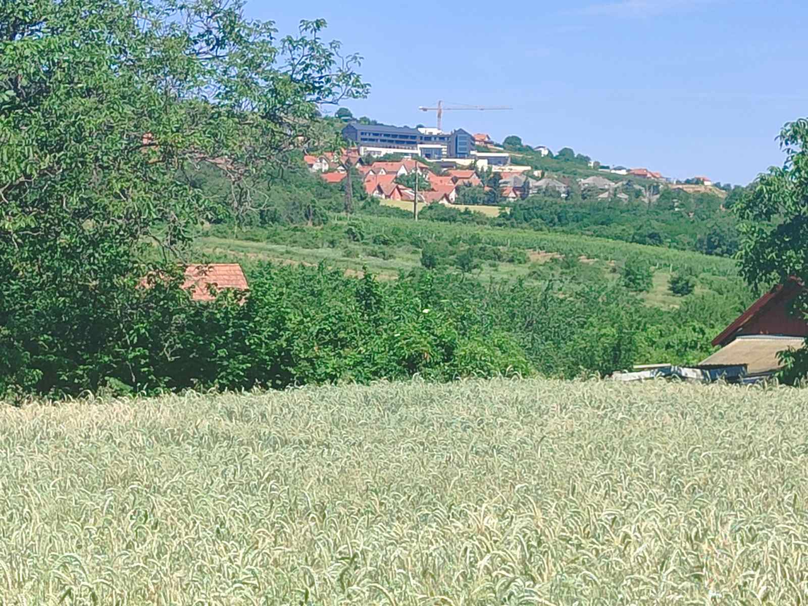 Poljoprivredno zemljište na granici sa gradjevinskim! – Sremski Karlovci, slika 4