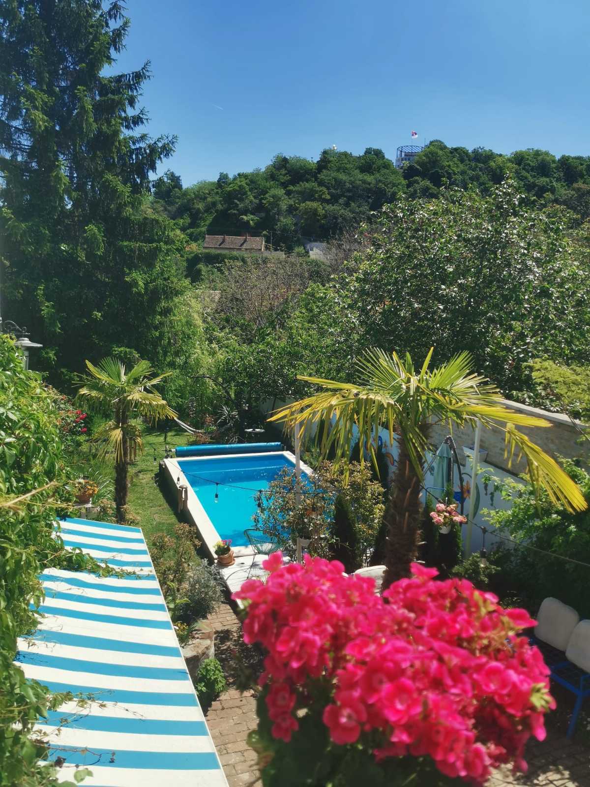 Luxury Boutique Guest House Sremski Karlovci – Sremski Karlovci, slika 2