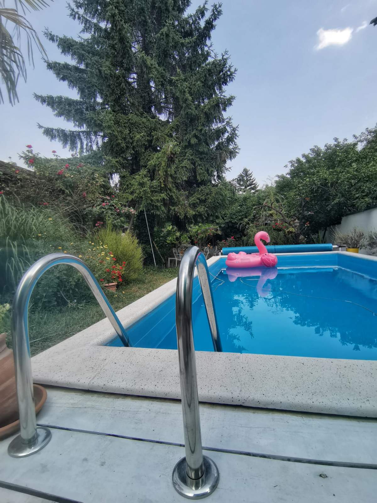 Luxury Boutique Guest House Sremski Karlovci – Sremski Karlovci, slika 4
