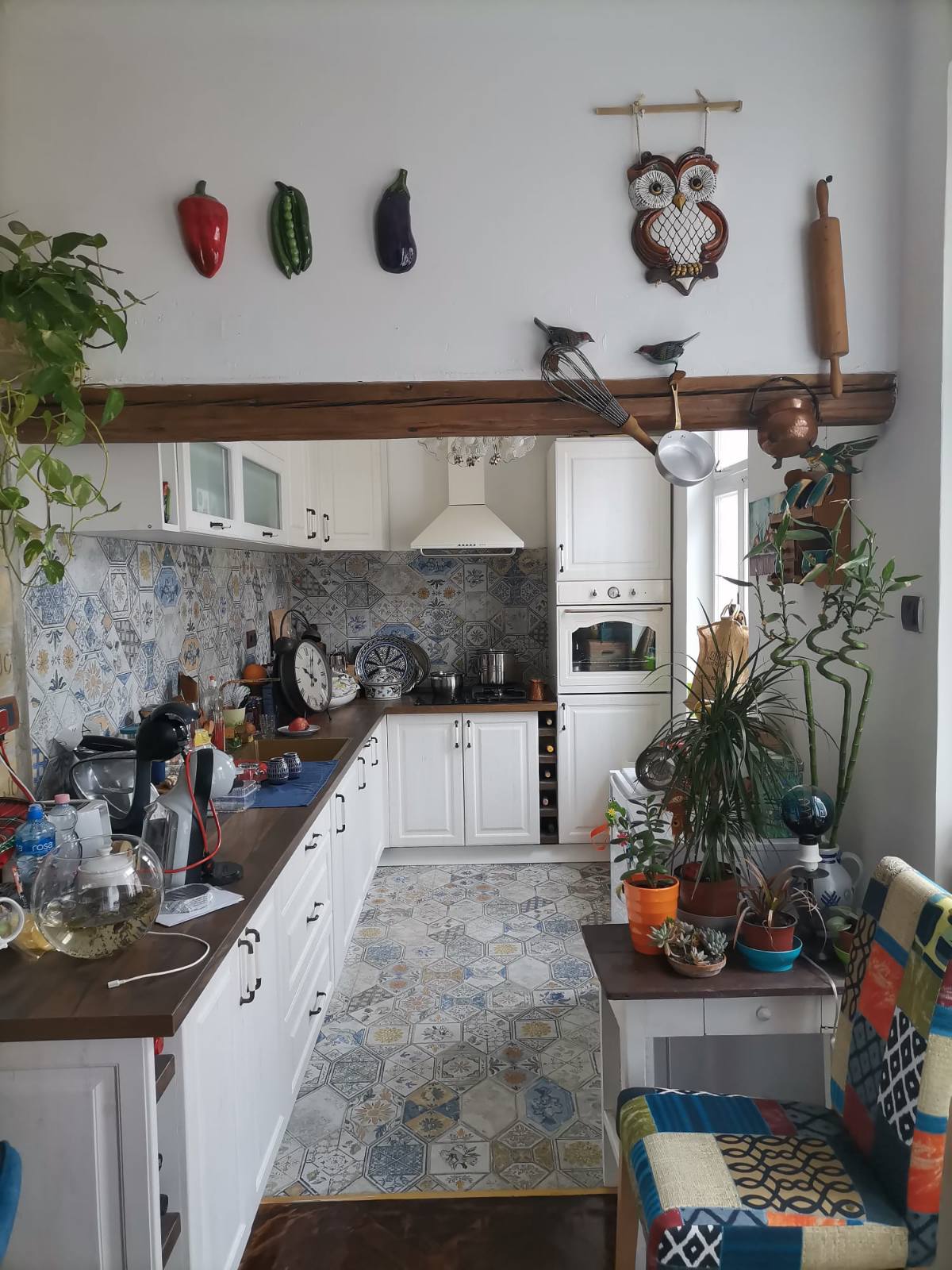 Luxury Boutique Guest House Sremski Karlovci – Sremski Karlovci, slika 5