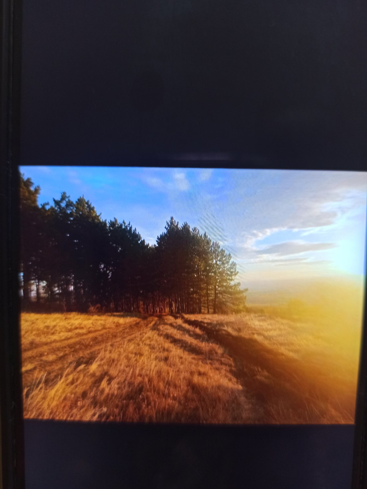 Prodaje se zemljište u Jazak Prnjavor – Irig | Linea Casa