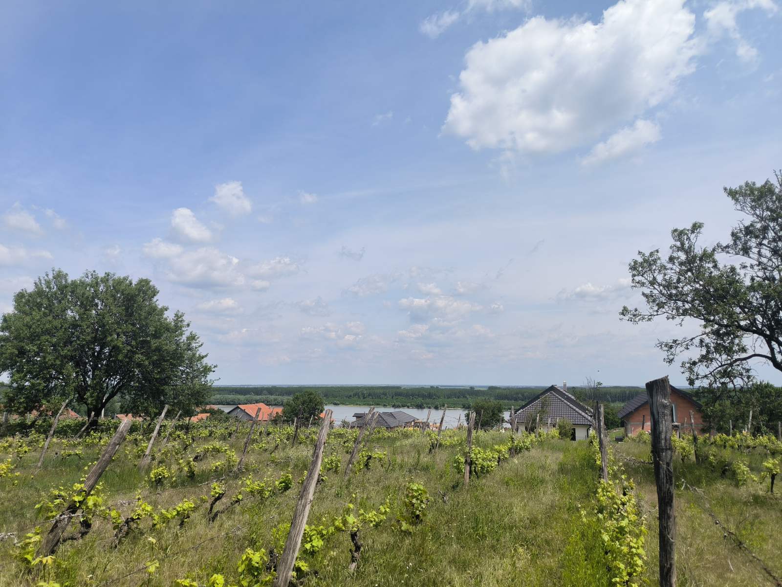 Sremski Karlovci - Gradjevinski plac sa pogledom na Dunav – Sremski Karlovci | Linea Casa