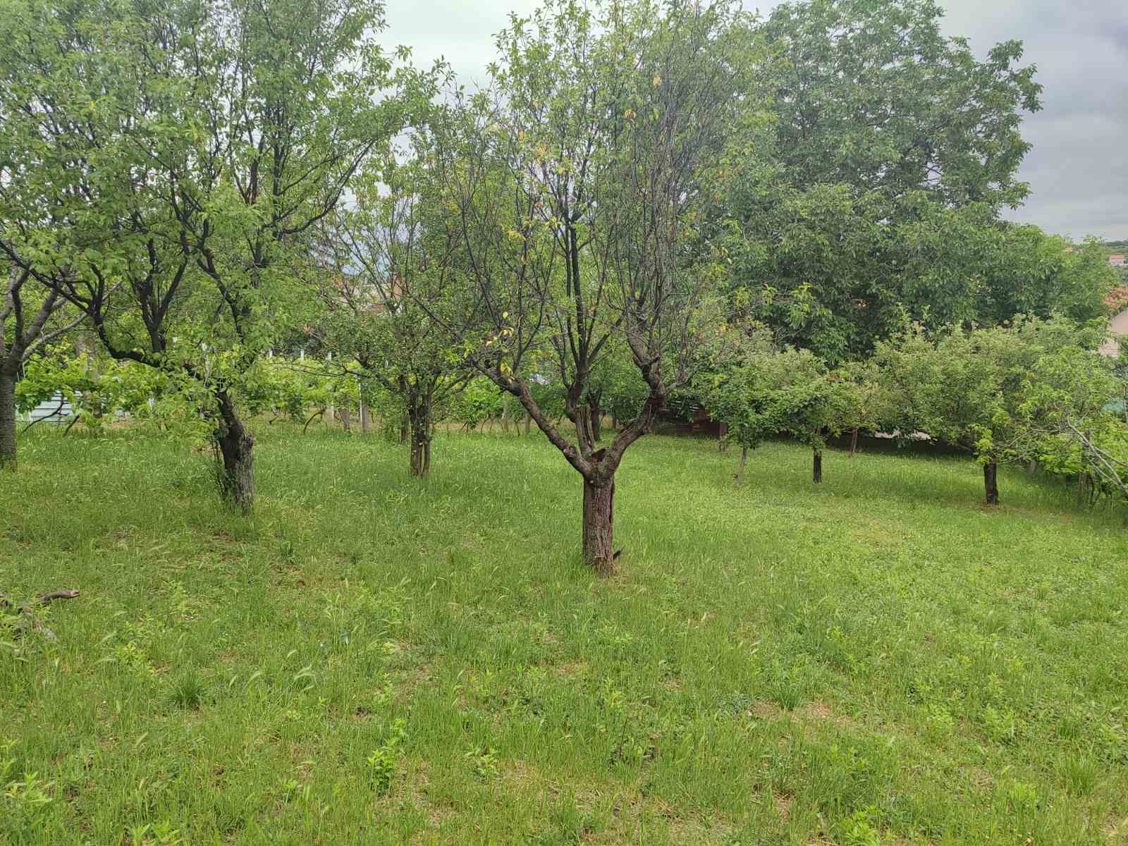 Spratna kuća u Sremskim karlovcima - Dudara – Sremski Karlovci, slika 7