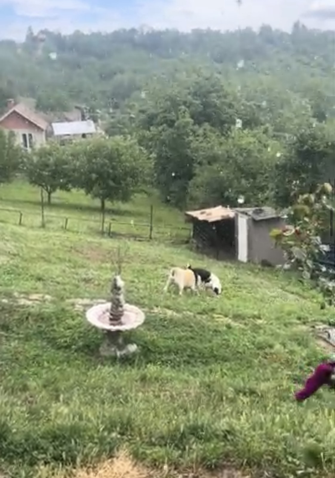 Vikend kuća Banstol Brdež do – Inđija, slika 5