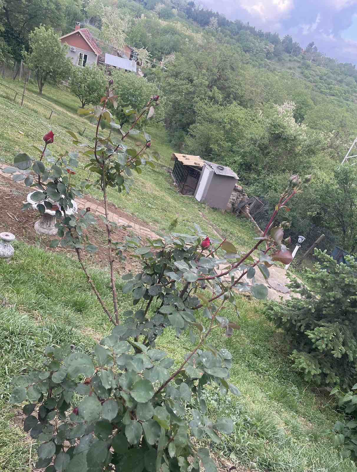 Vikend kuća Banstol Brdež do – Inđija, slika 15