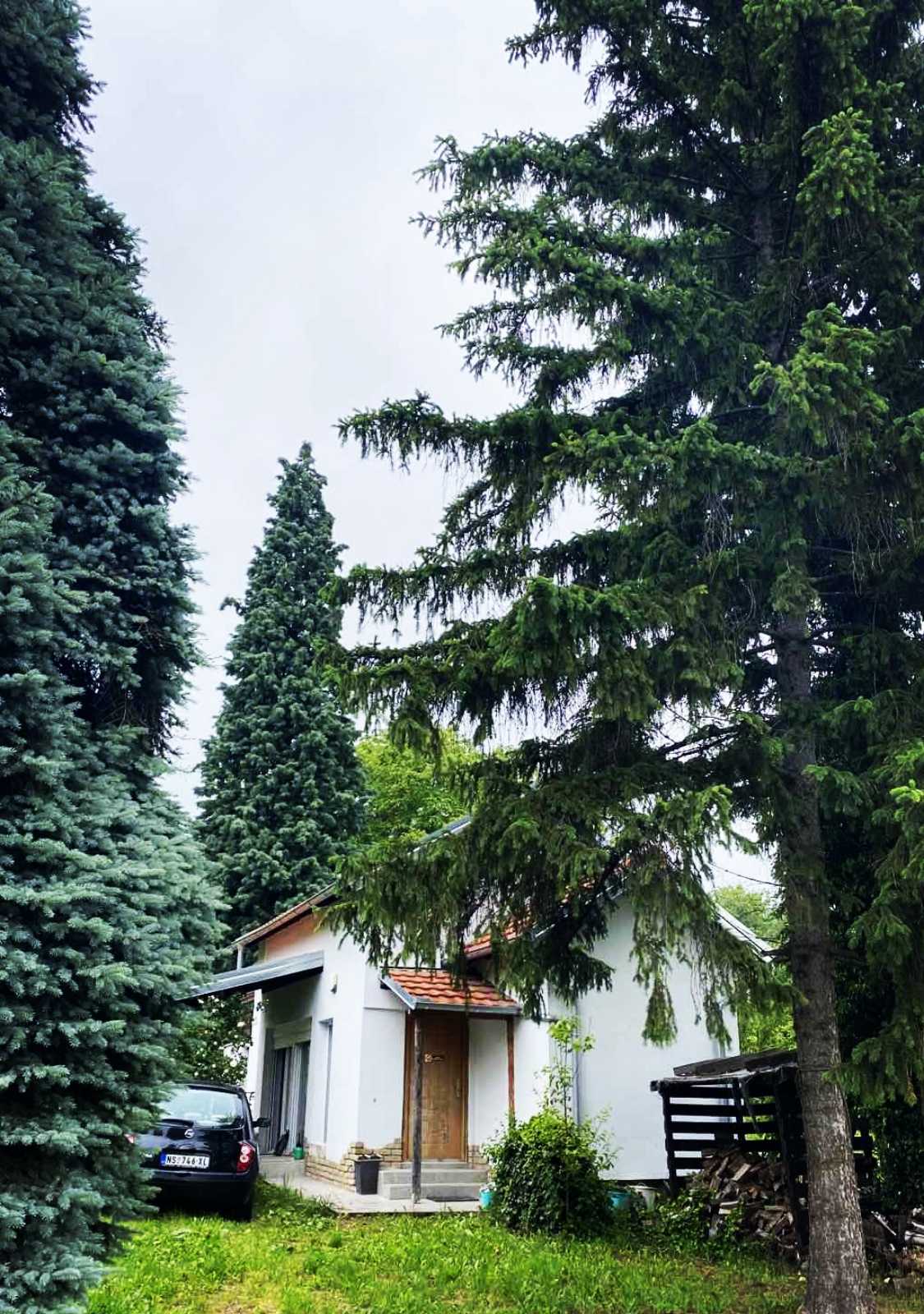 Vikendica Čortanovci – Sremski Karlovci, slika 2