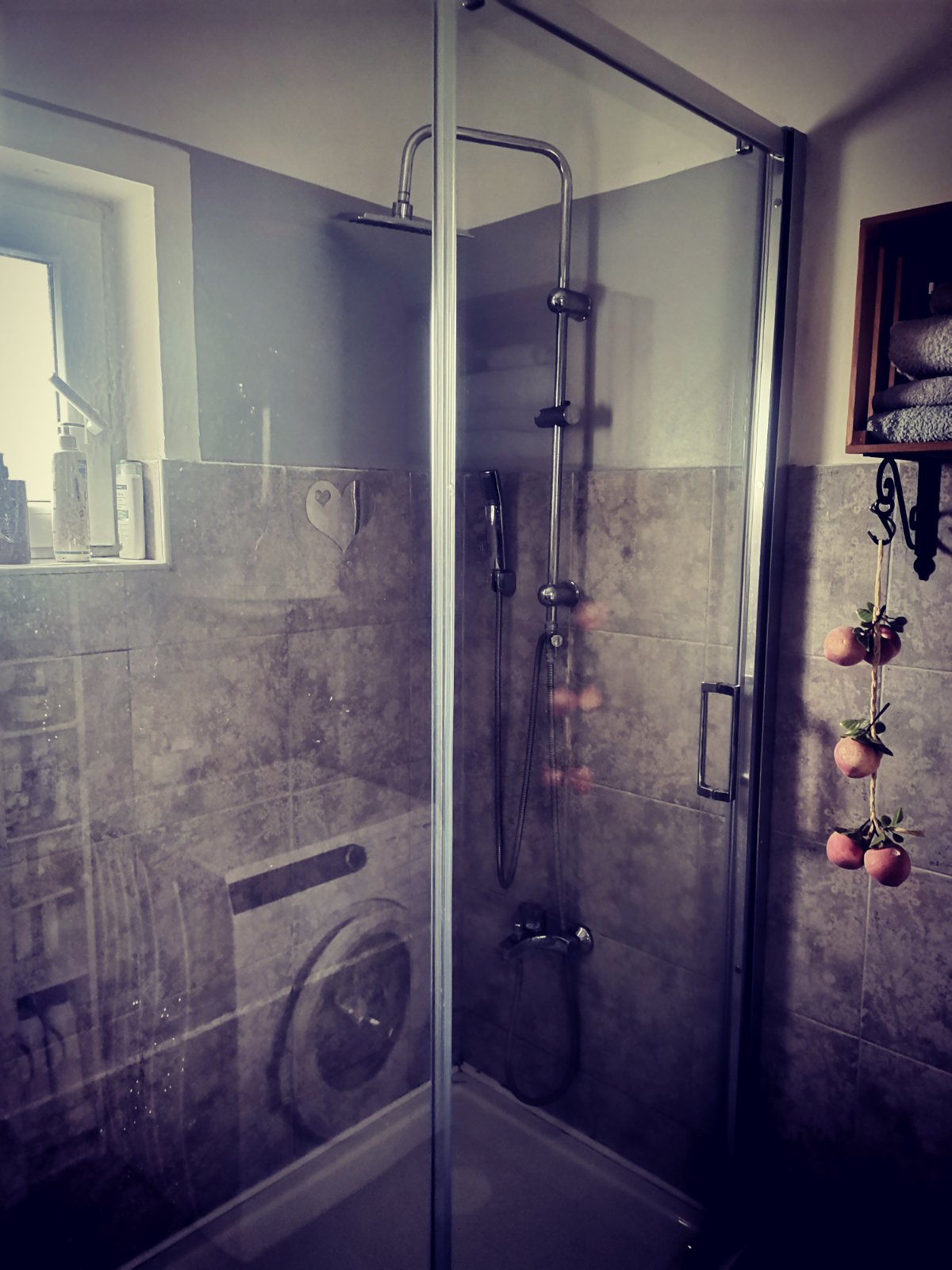 Vikendica Čortanovci – Sremski Karlovci, slika 16