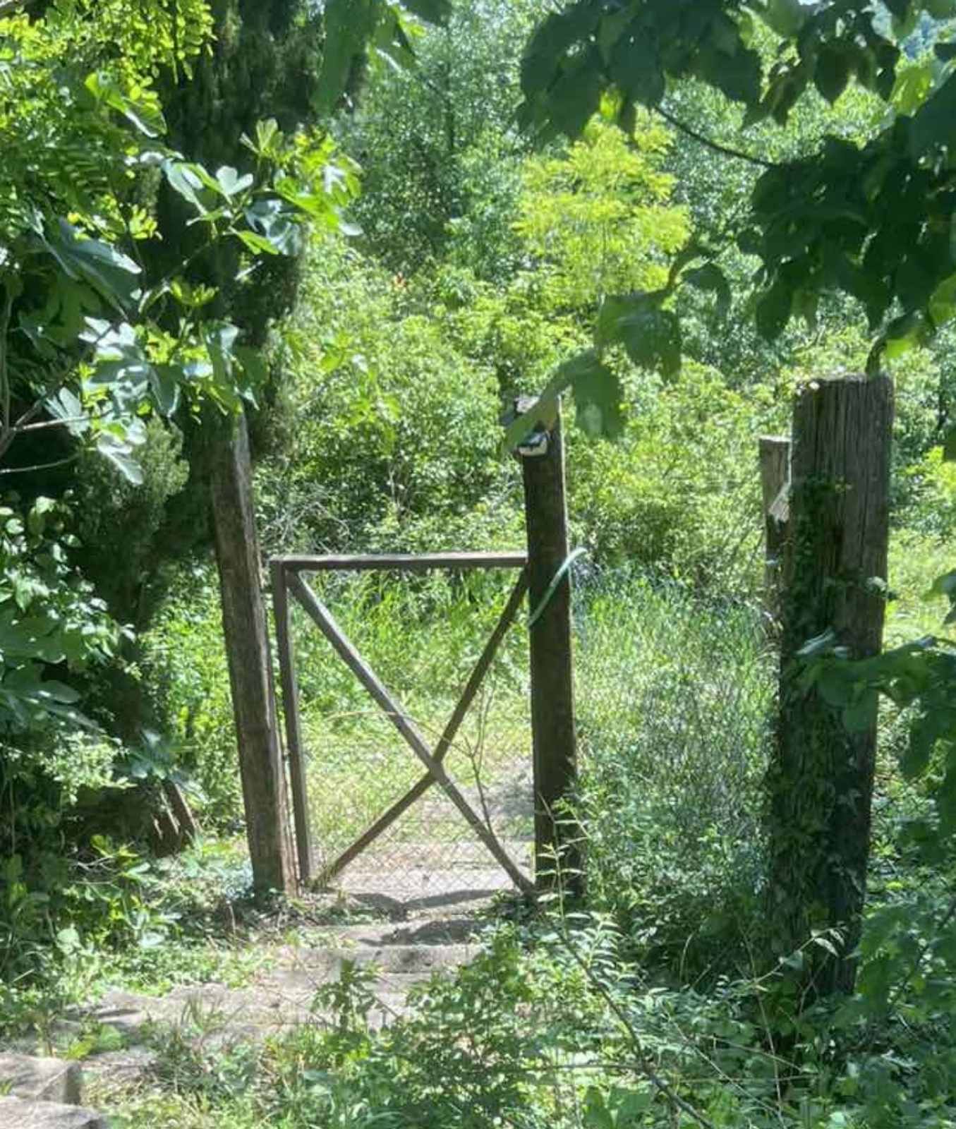 Vikendica Čortanovci – Sremski Karlovci, slika 20