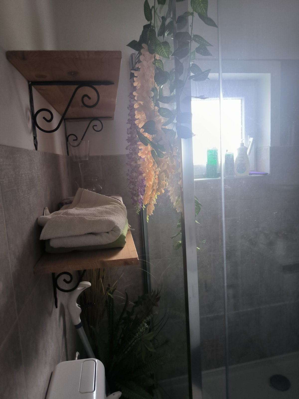 Vikendica Čortanovci – Sremski Karlovci, slika 25