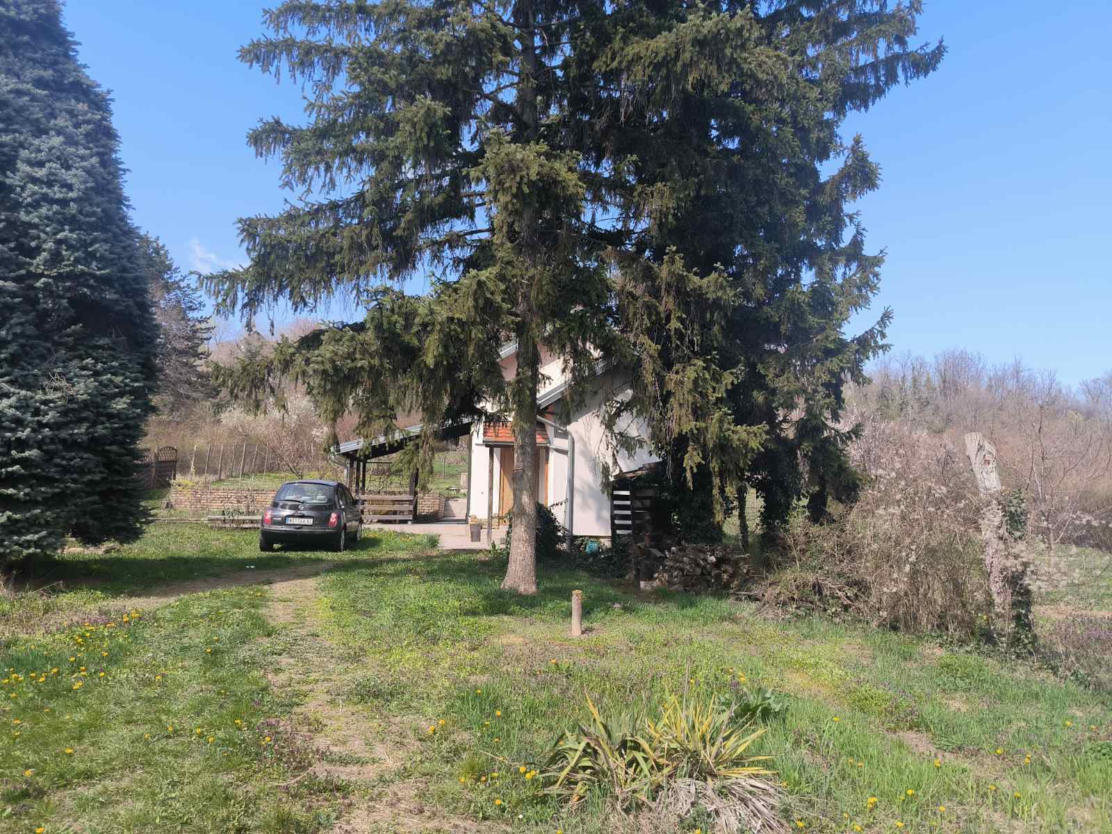 Vikendica Čortanovci – Sremski Karlovci, slika 48