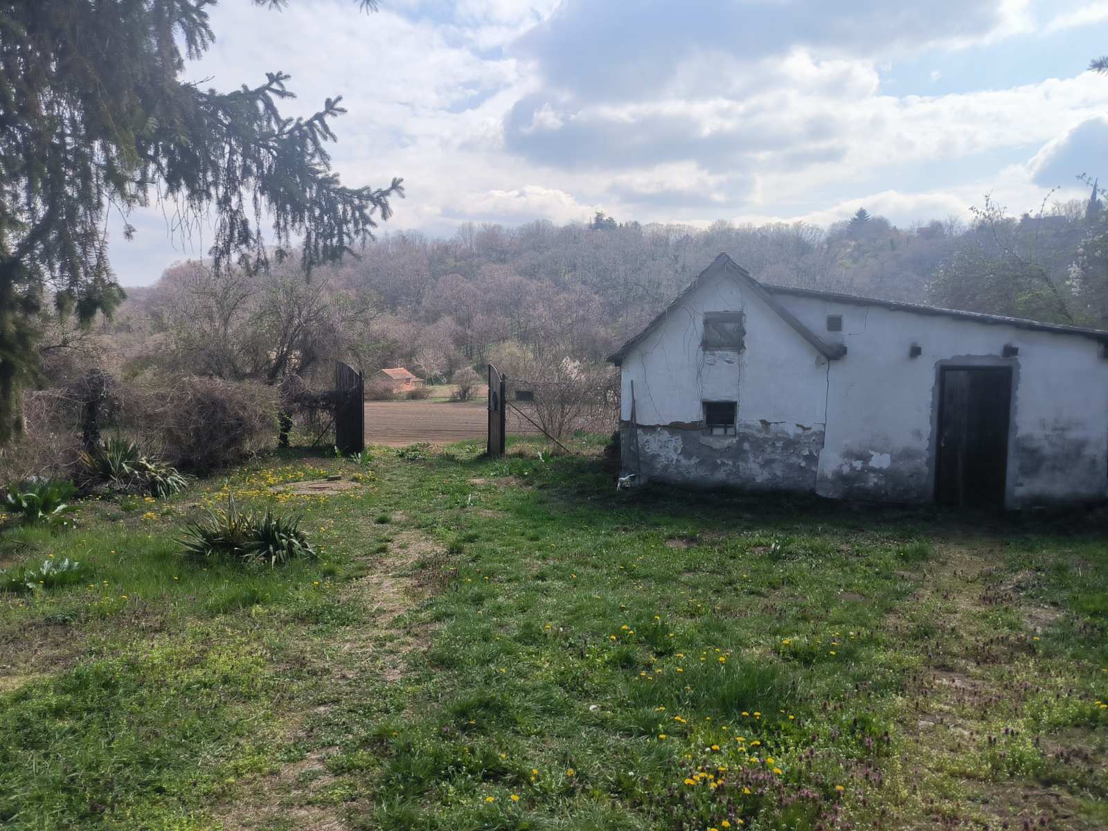 Vikendica Čortanovci – Sremski Karlovci, slika 40