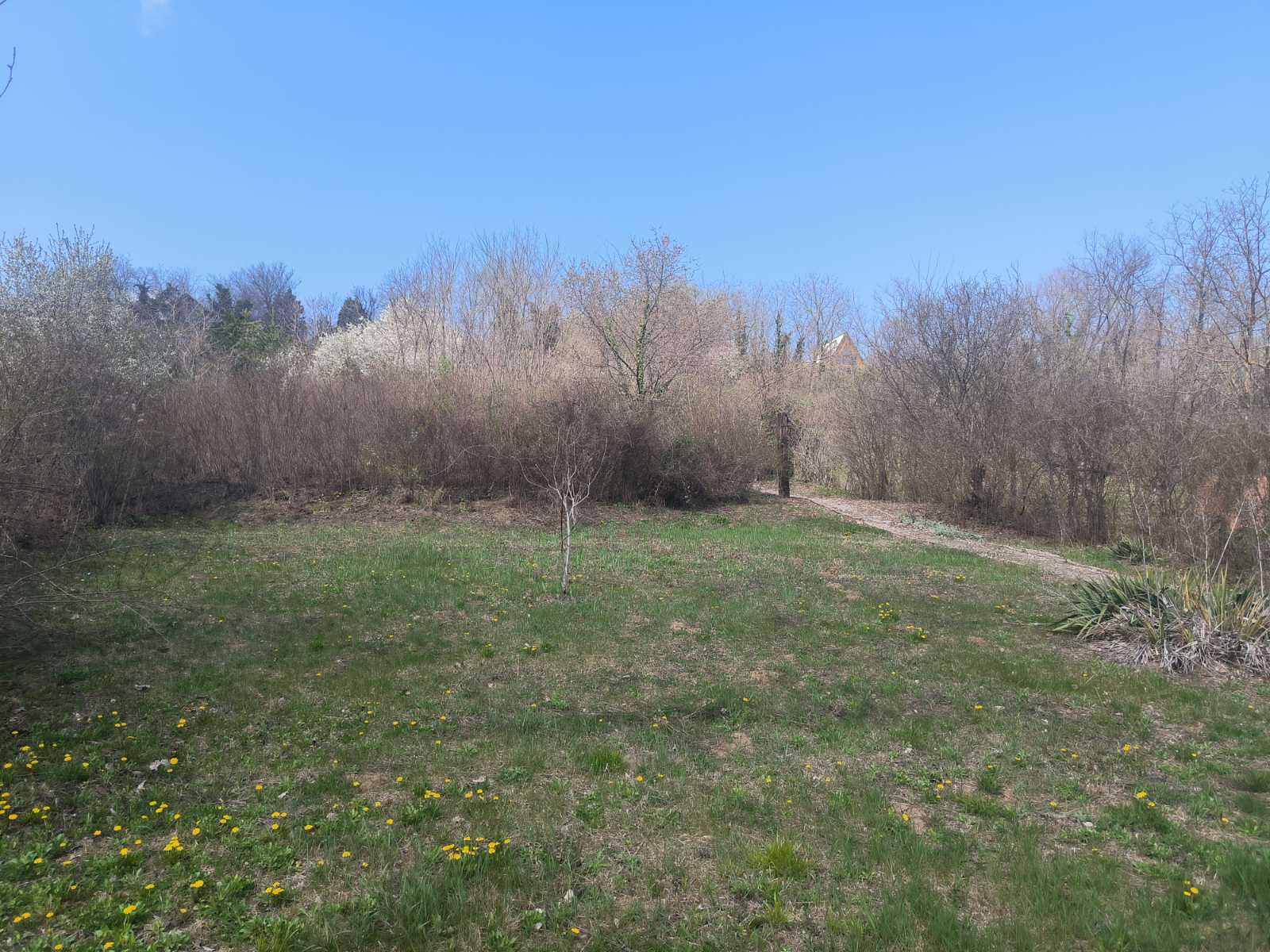 Vikendica Čortanovci – Sremski Karlovci, slika 46