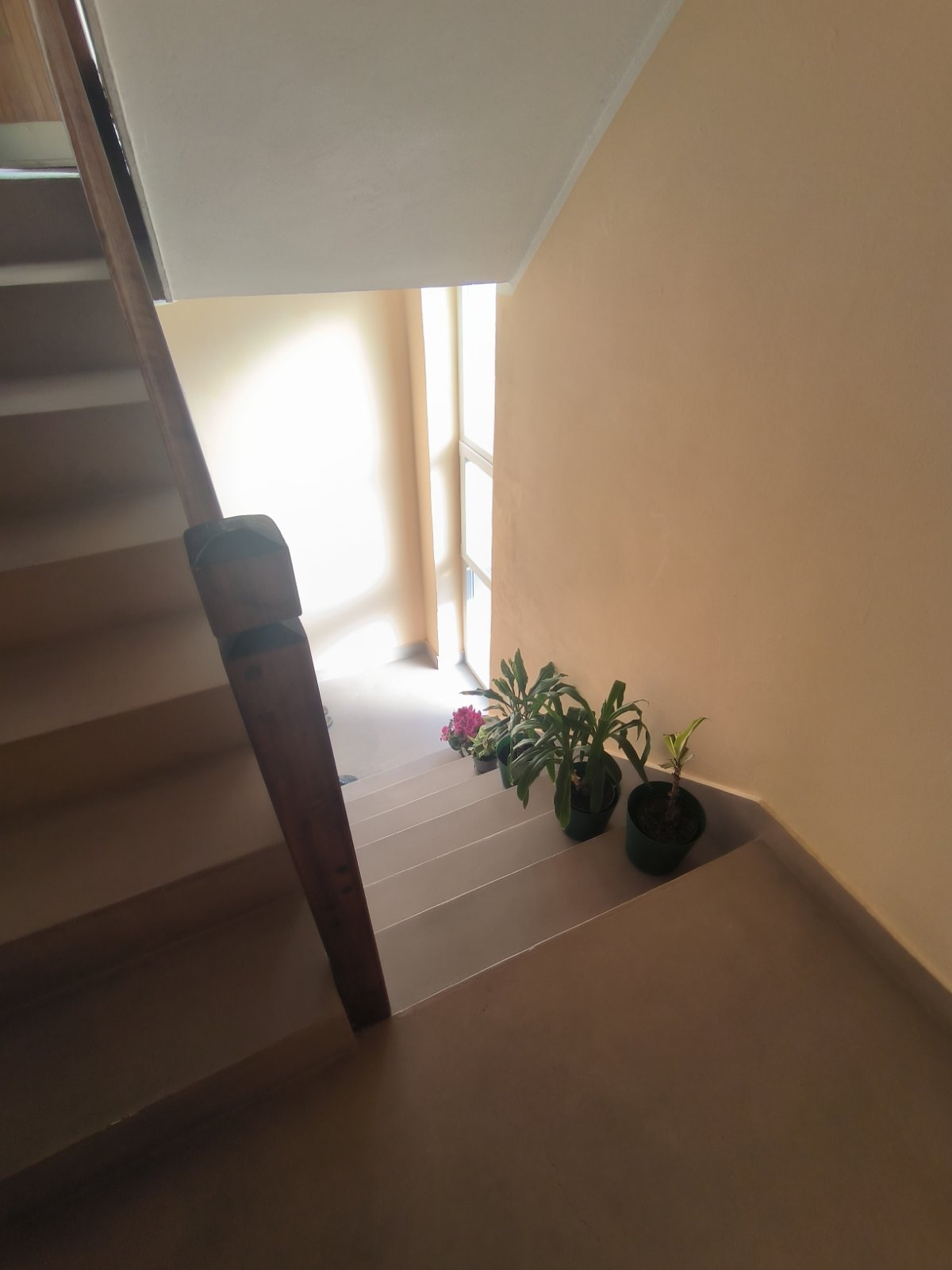Kuća u Kaću Top ponuda – Novi Sad, slika 23
