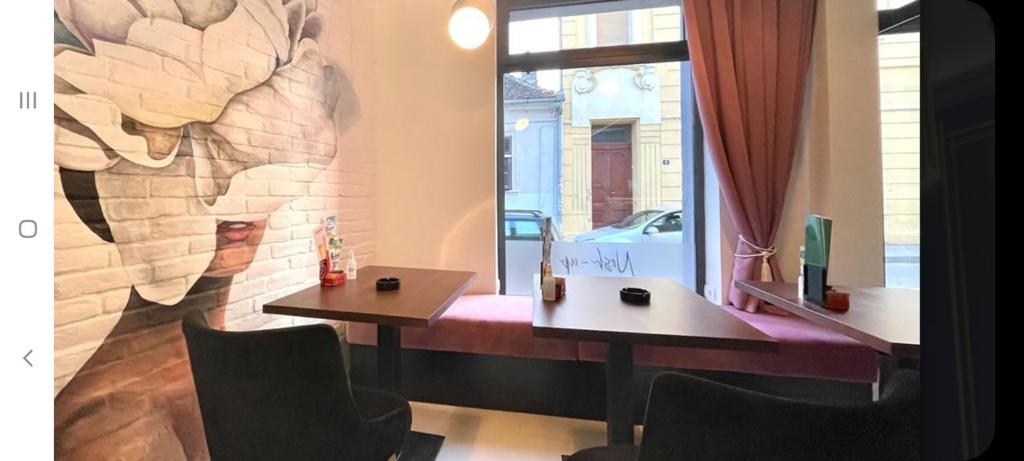 Lokal u Sremskim Karlovcima TOP PONUDA – Sremski Karlovci, slika 4